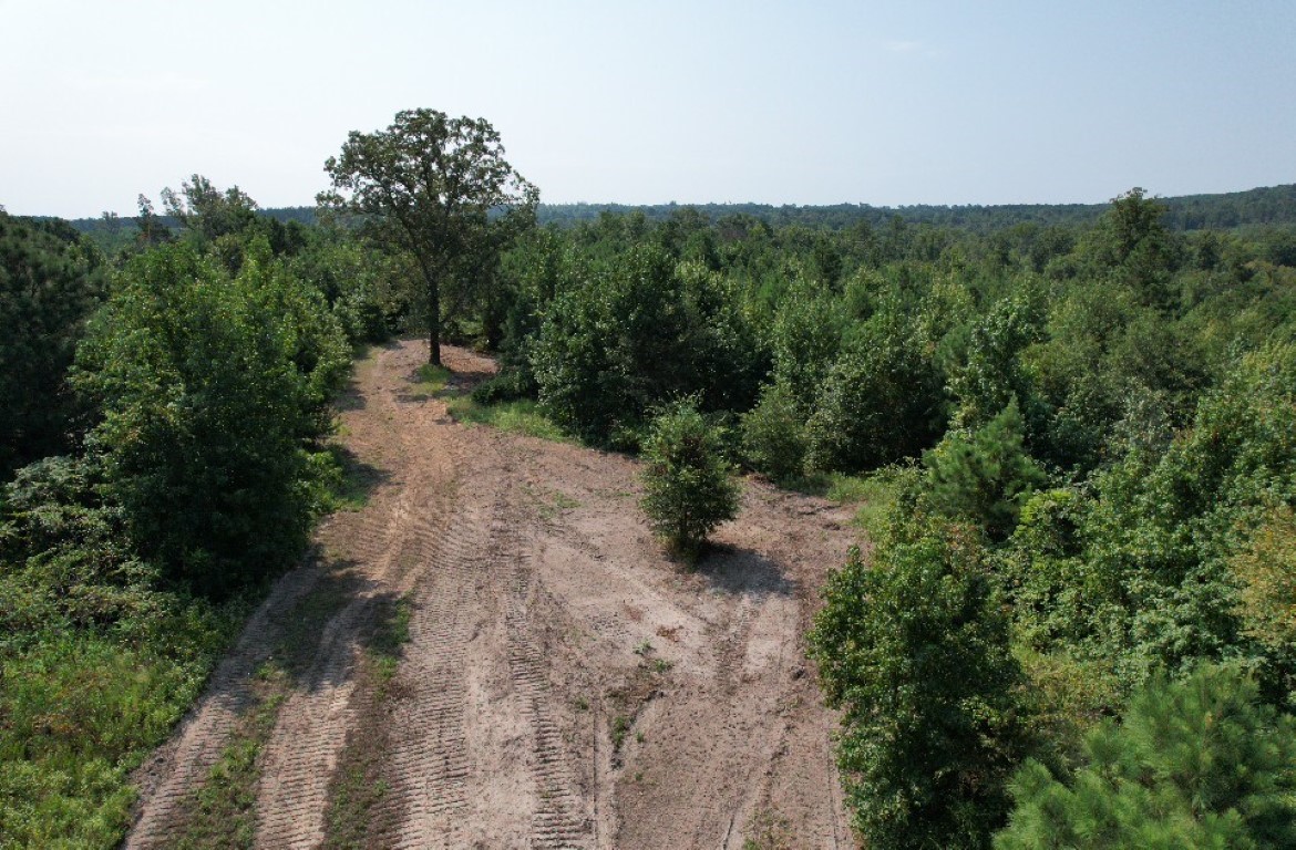 Tbd County Road 3163 Laneville TX 75667