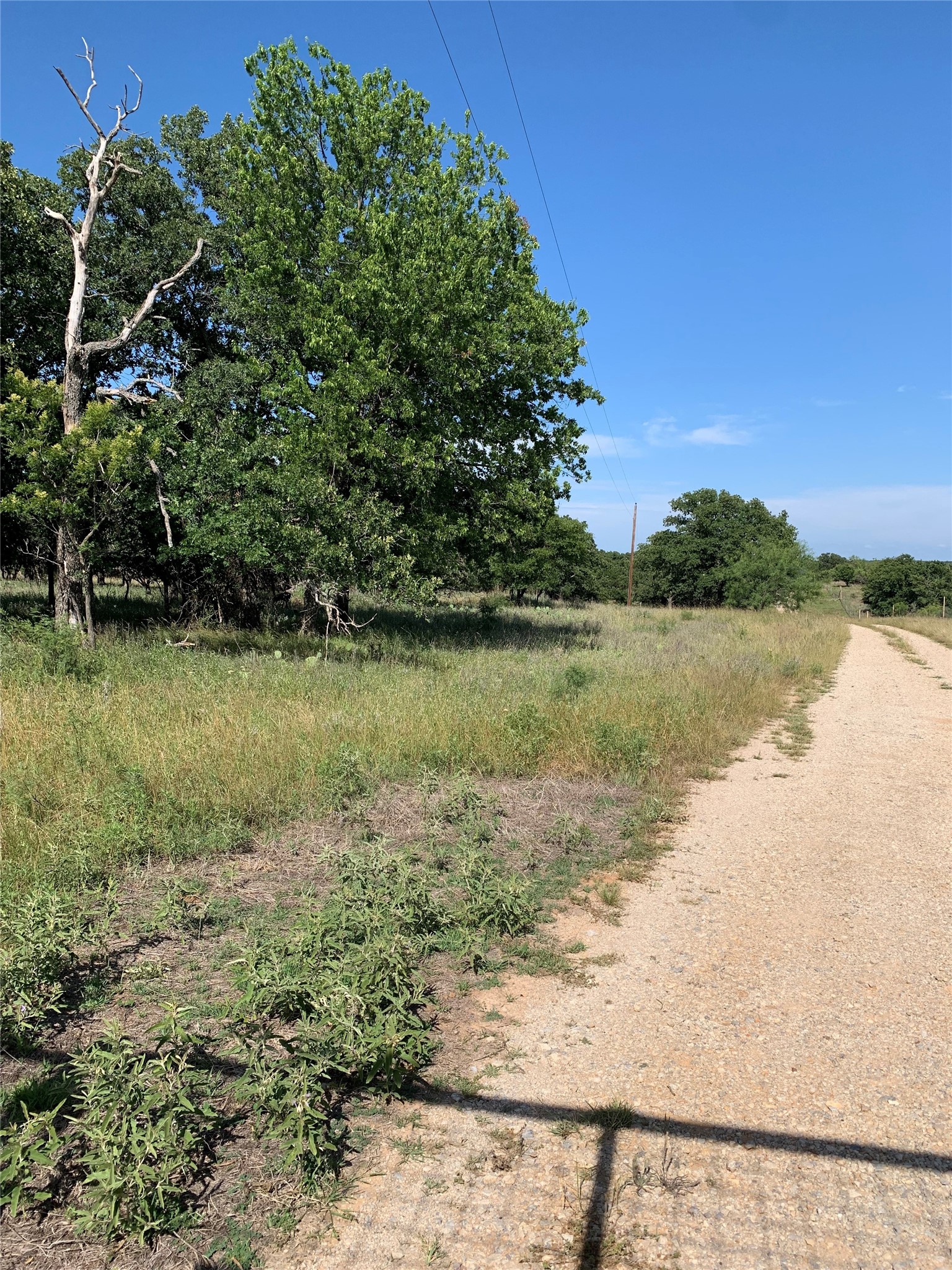 31.09 Ac Hoefle Road Jacksboro TX 76458