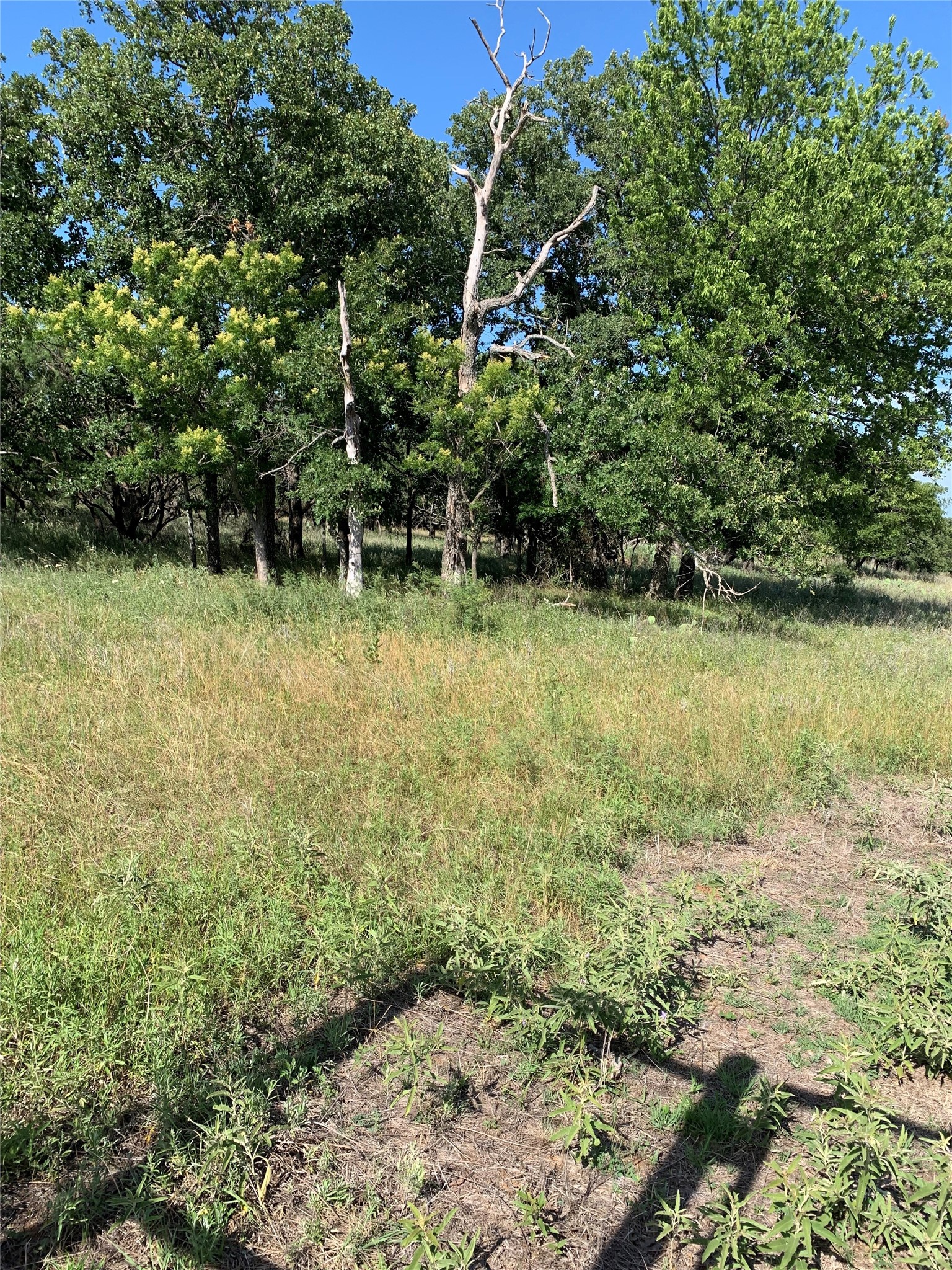 31.09 Ac Hoefle Road Jacksboro TX 76458