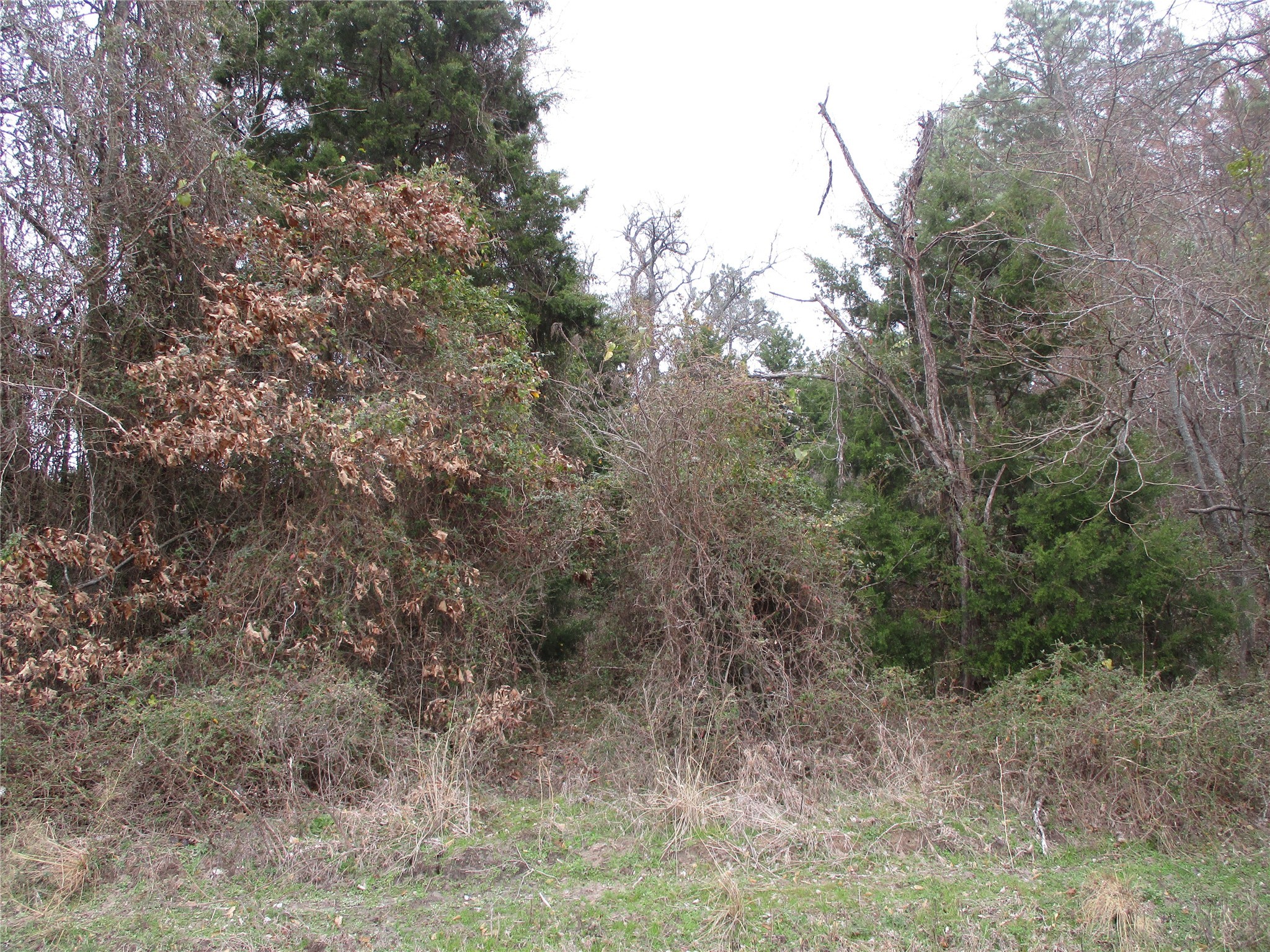 Tbd Rains County Road 3040 Emory TX 75440