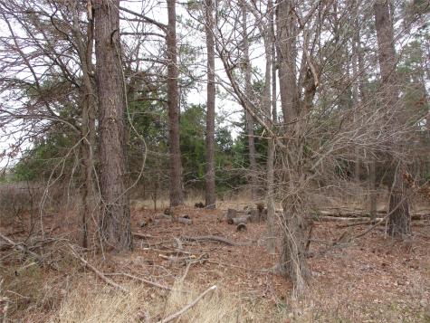 Tbd Rains County Road 3040 Emory TX 75440