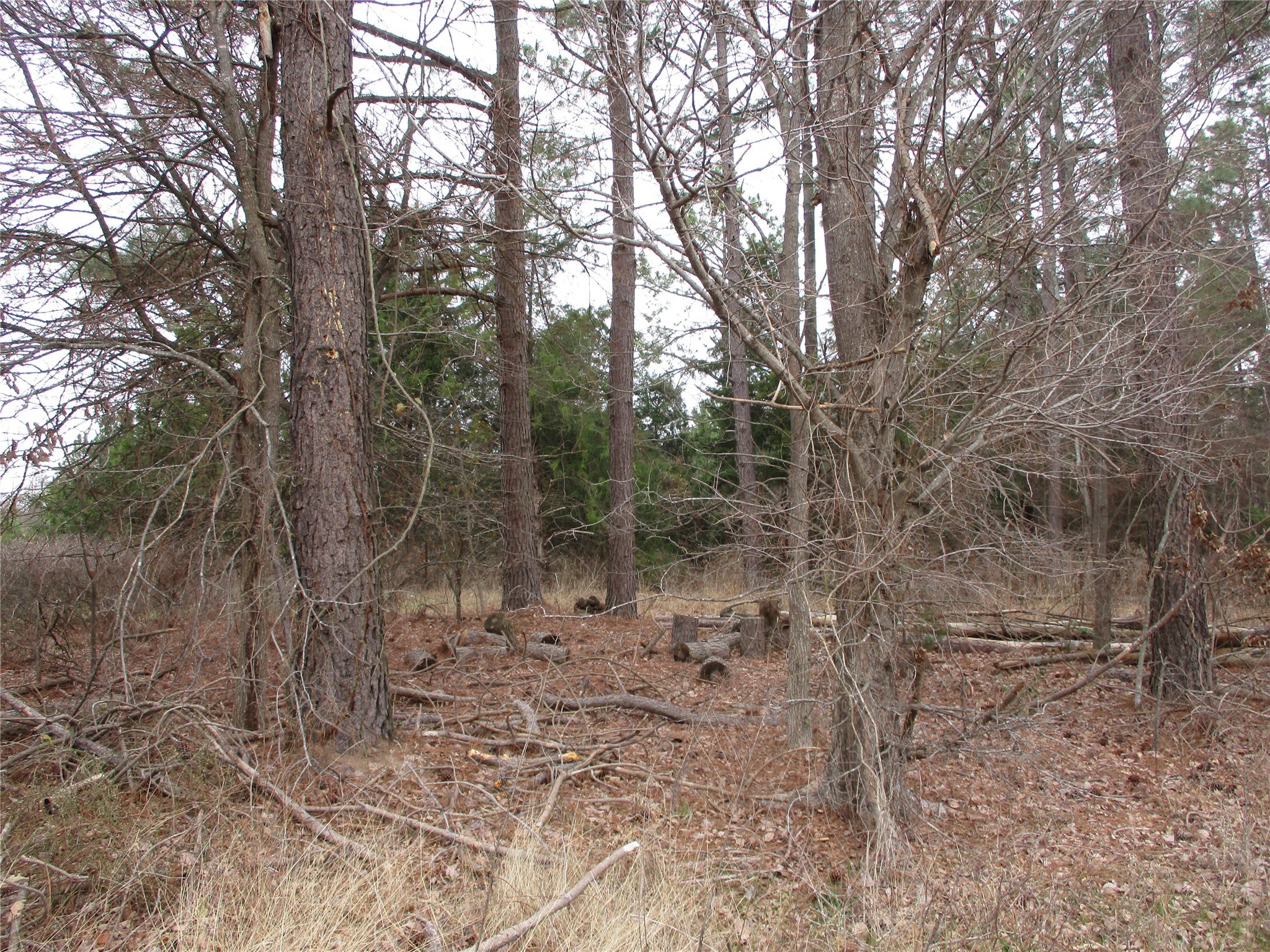 Tbd Rains County Road 3040 Emory TX 75440