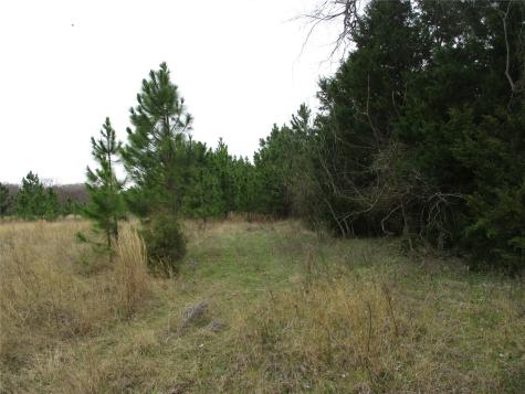 Tbd Rains County Road 3040 Emory TX 75440