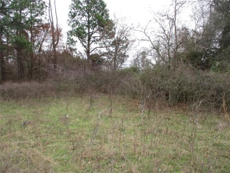 Tbd Rains County Road 3040 Emory TX 75440