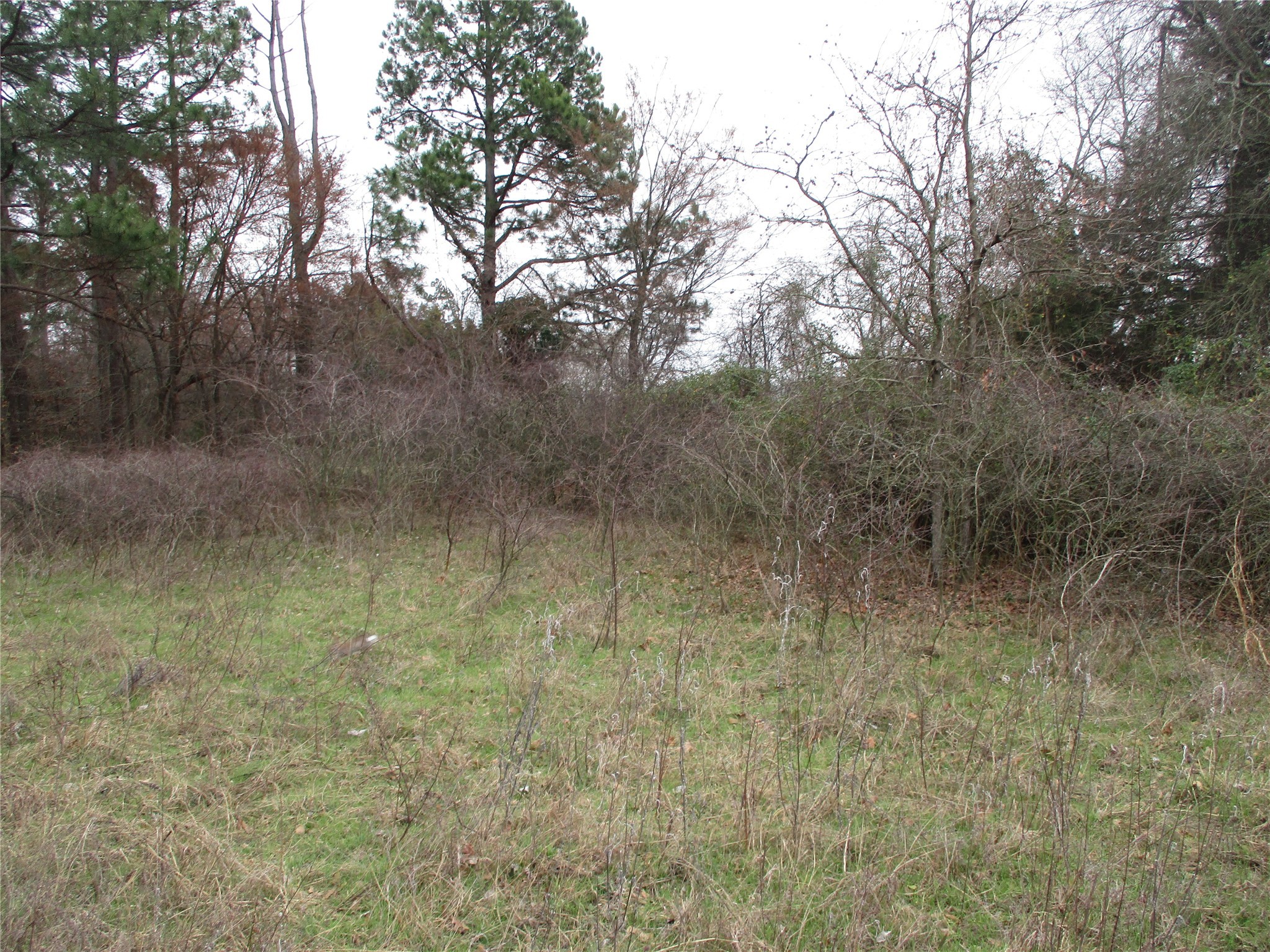 Tbd Rains County Road 3040 Emory TX 75440
