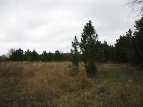 Tbd Rains County Road 3040 Emory TX 75440