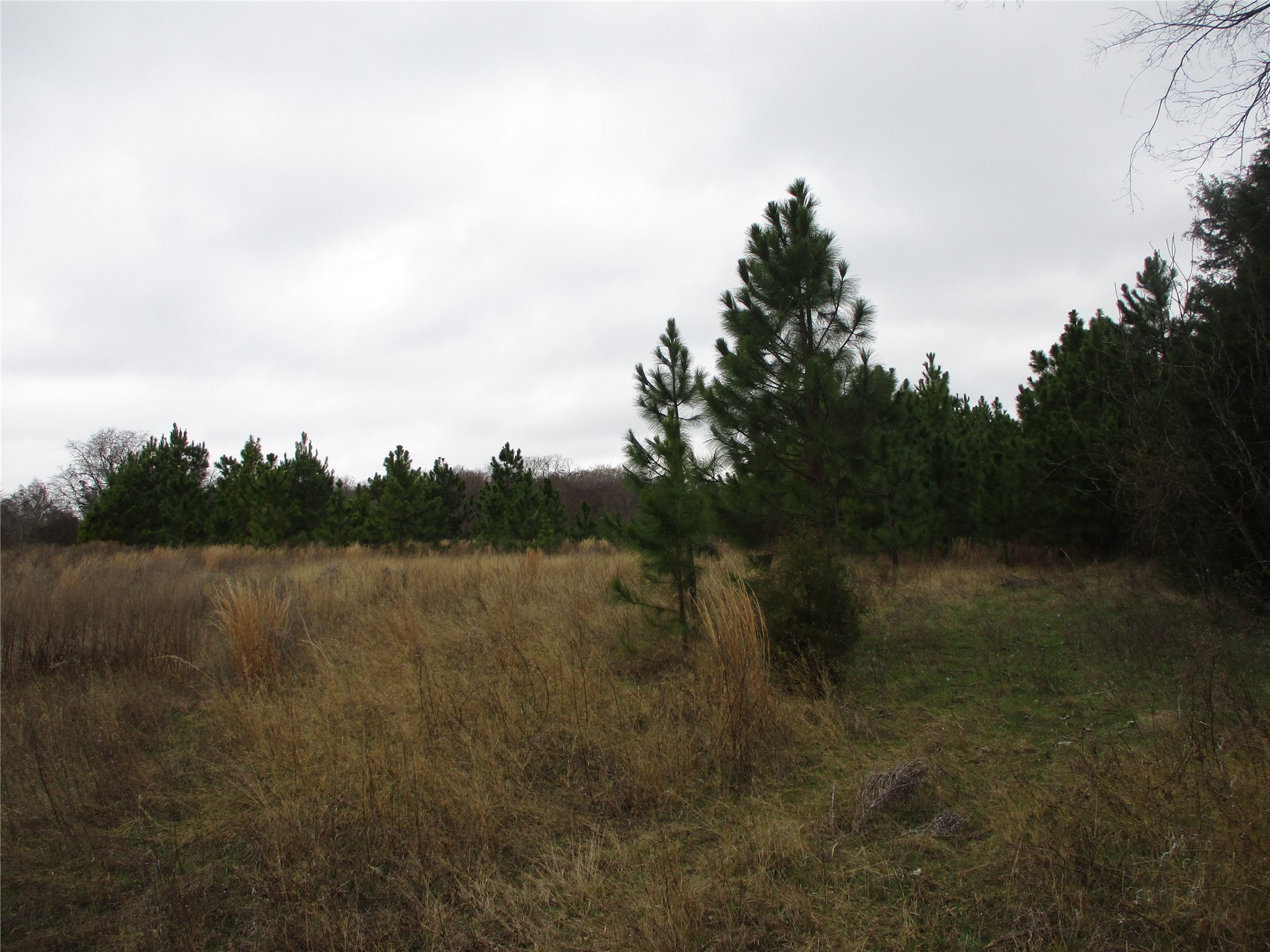 Tbd Rains County Road 3040 Emory TX 75440