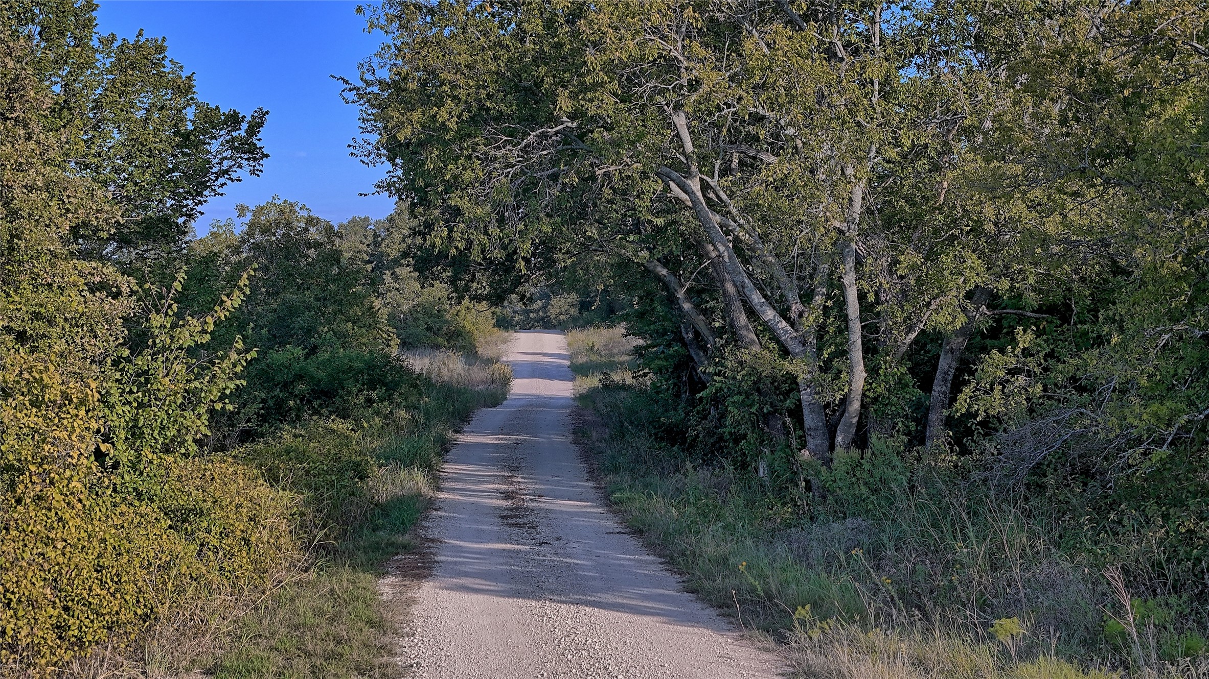 0 Deen Road Bowie TX 76230