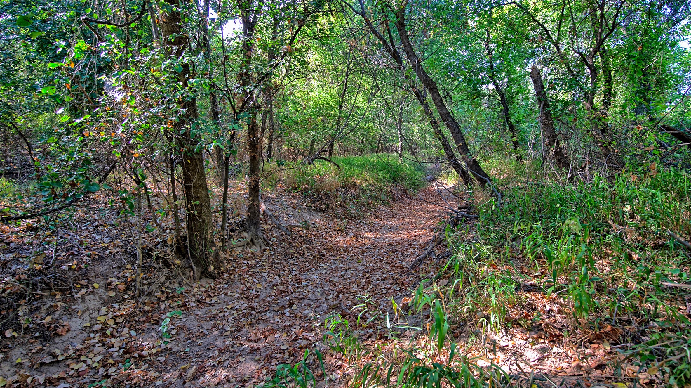 0 Deen Road Bowie TX 76230