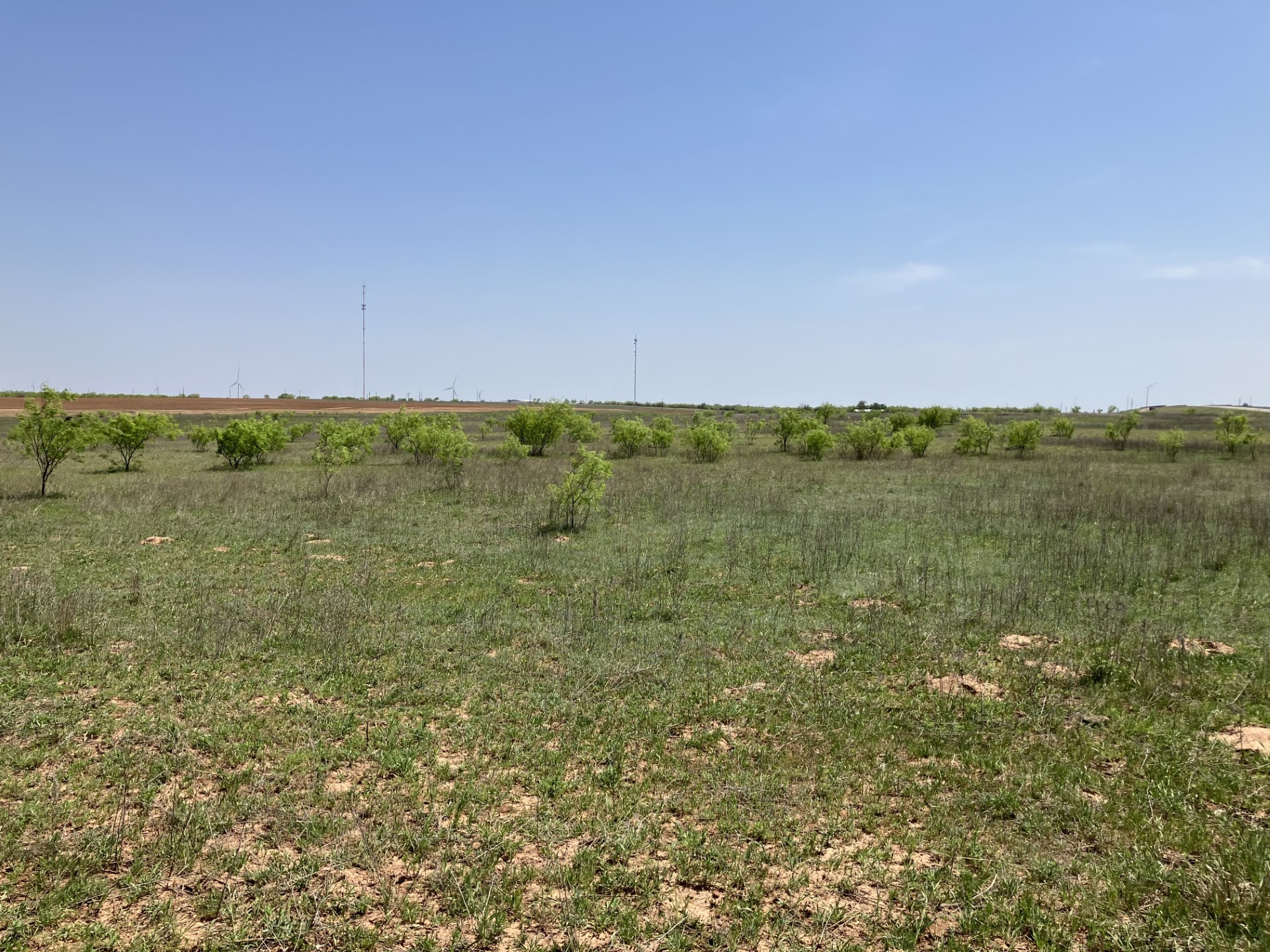 422 Street Highway Seymour TX 76380