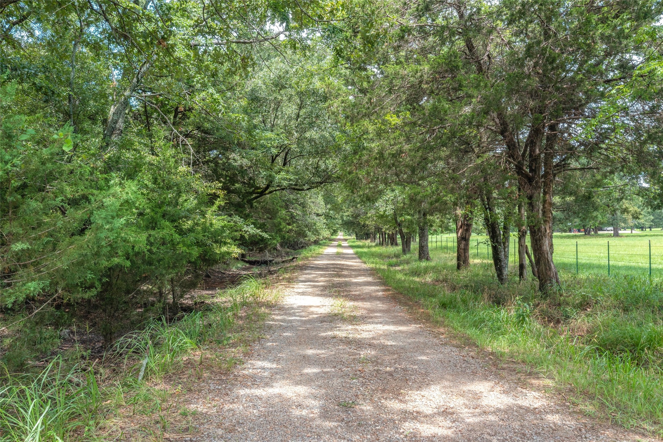 Tbd Fm 1197 Yantis TX 75497