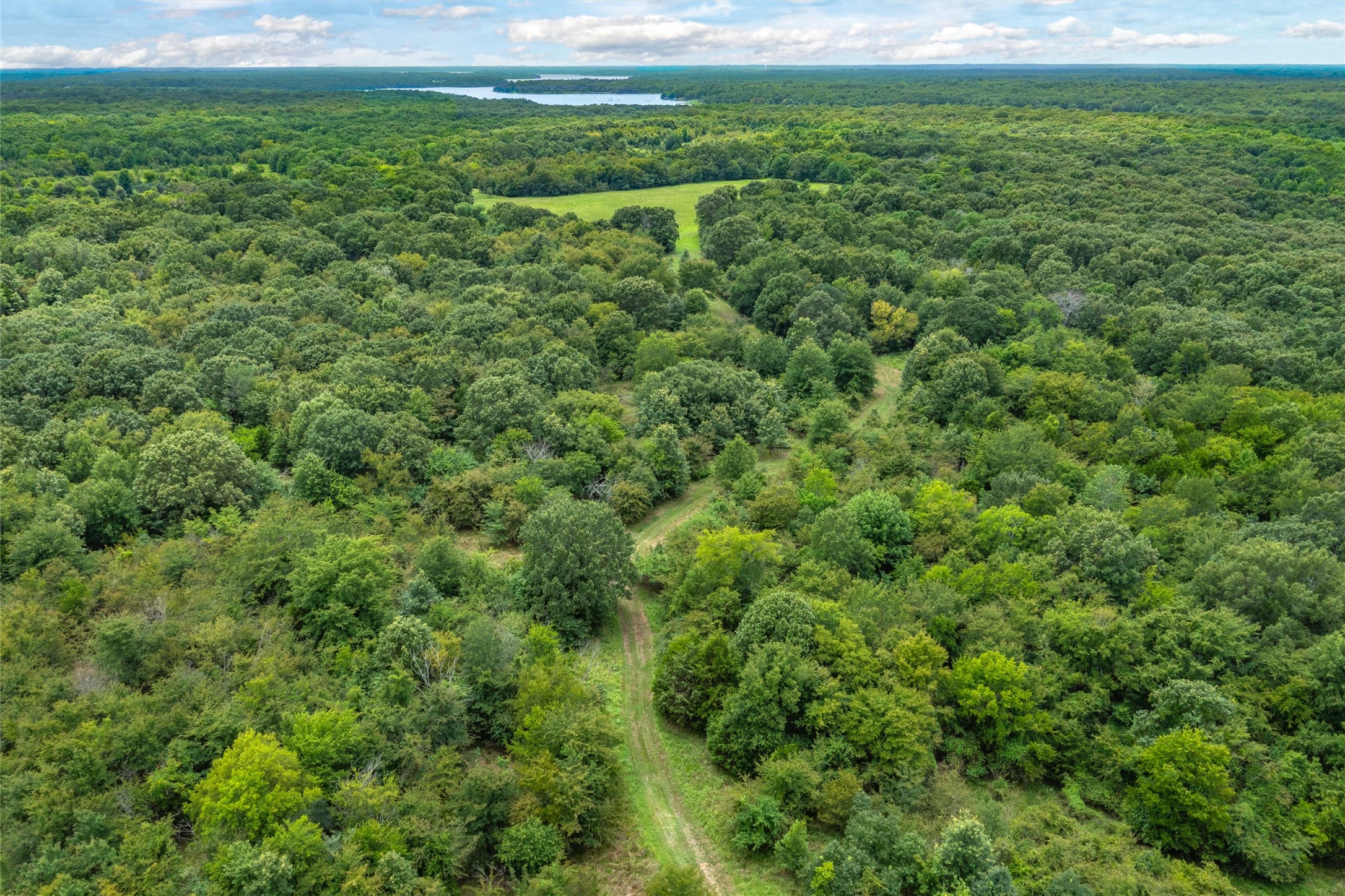 Tbd Fm 1197 Yantis TX 75497