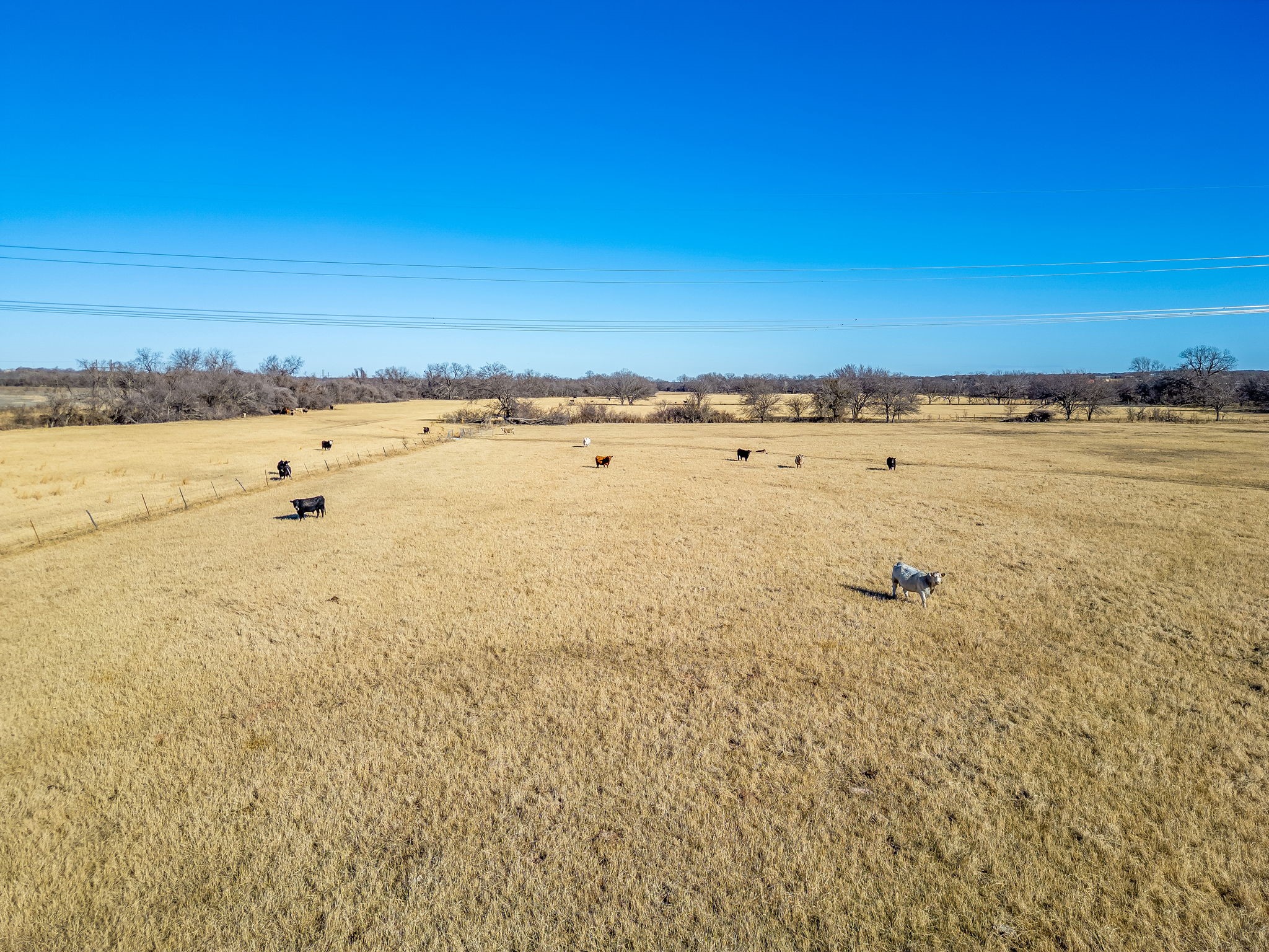 168 County Road 3850 Poolville TX 76487