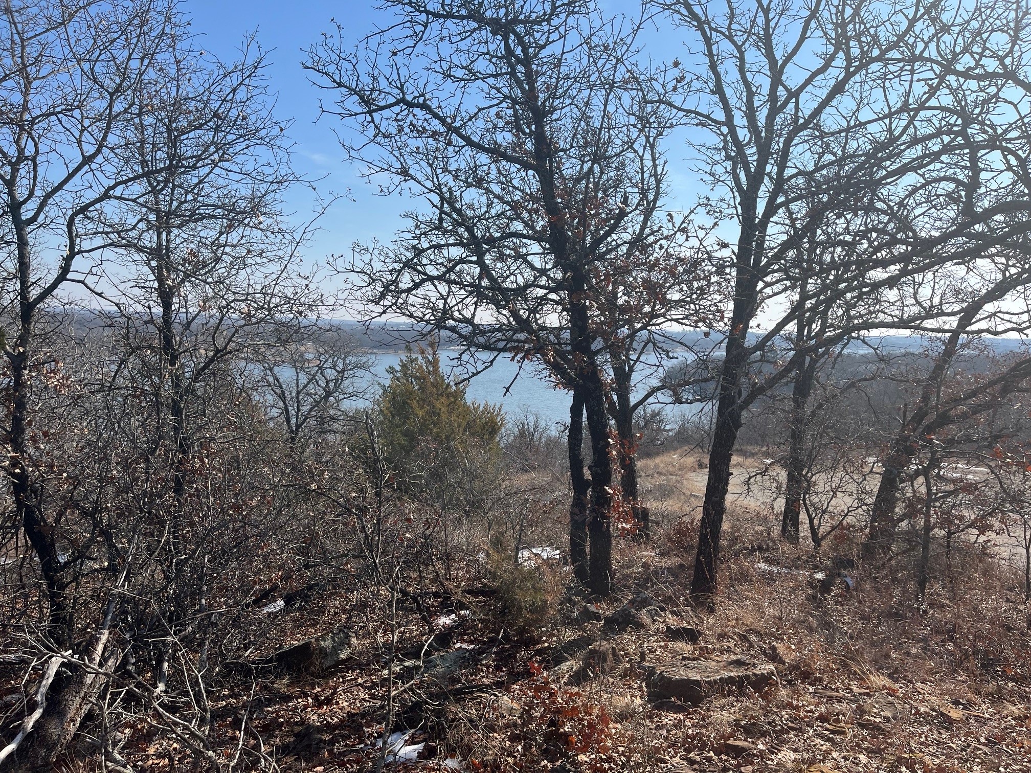 0 Scenic Hill Drive Bowie TX 76230