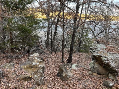 0 Scenic Hill Drive Bowie TX 76230