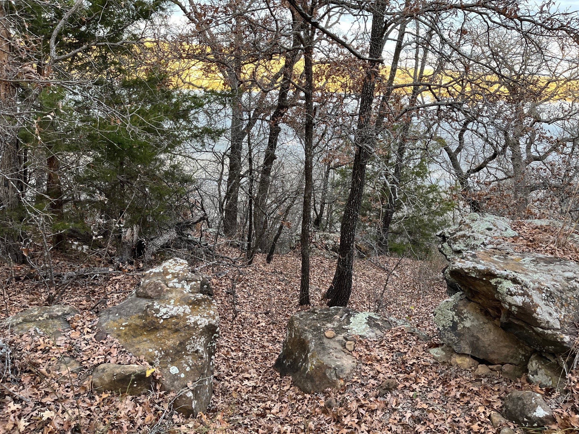 0 Scenic Hill Drive Bowie TX 76230