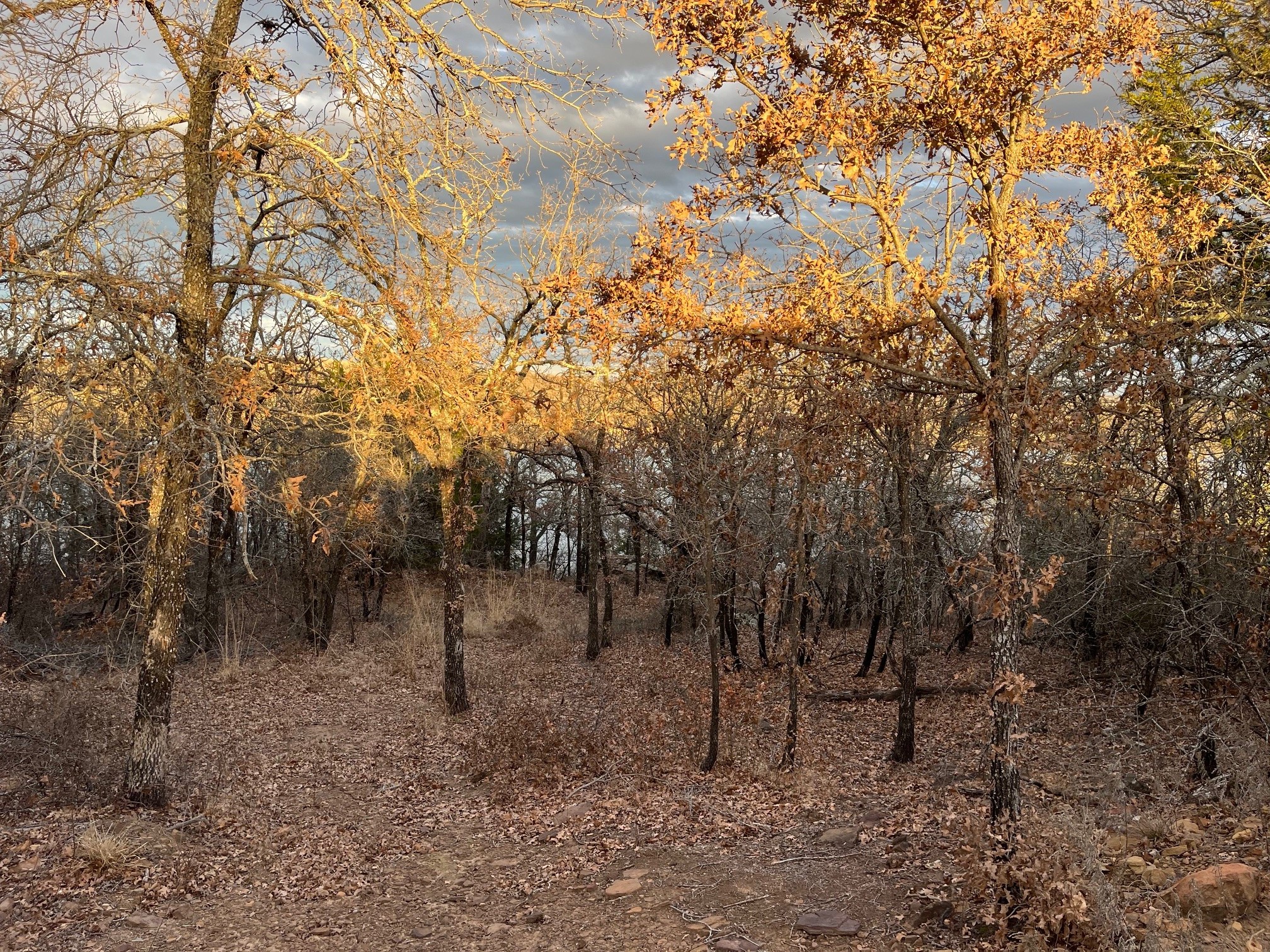 0 Scenic Hill Drive Bowie TX 76230