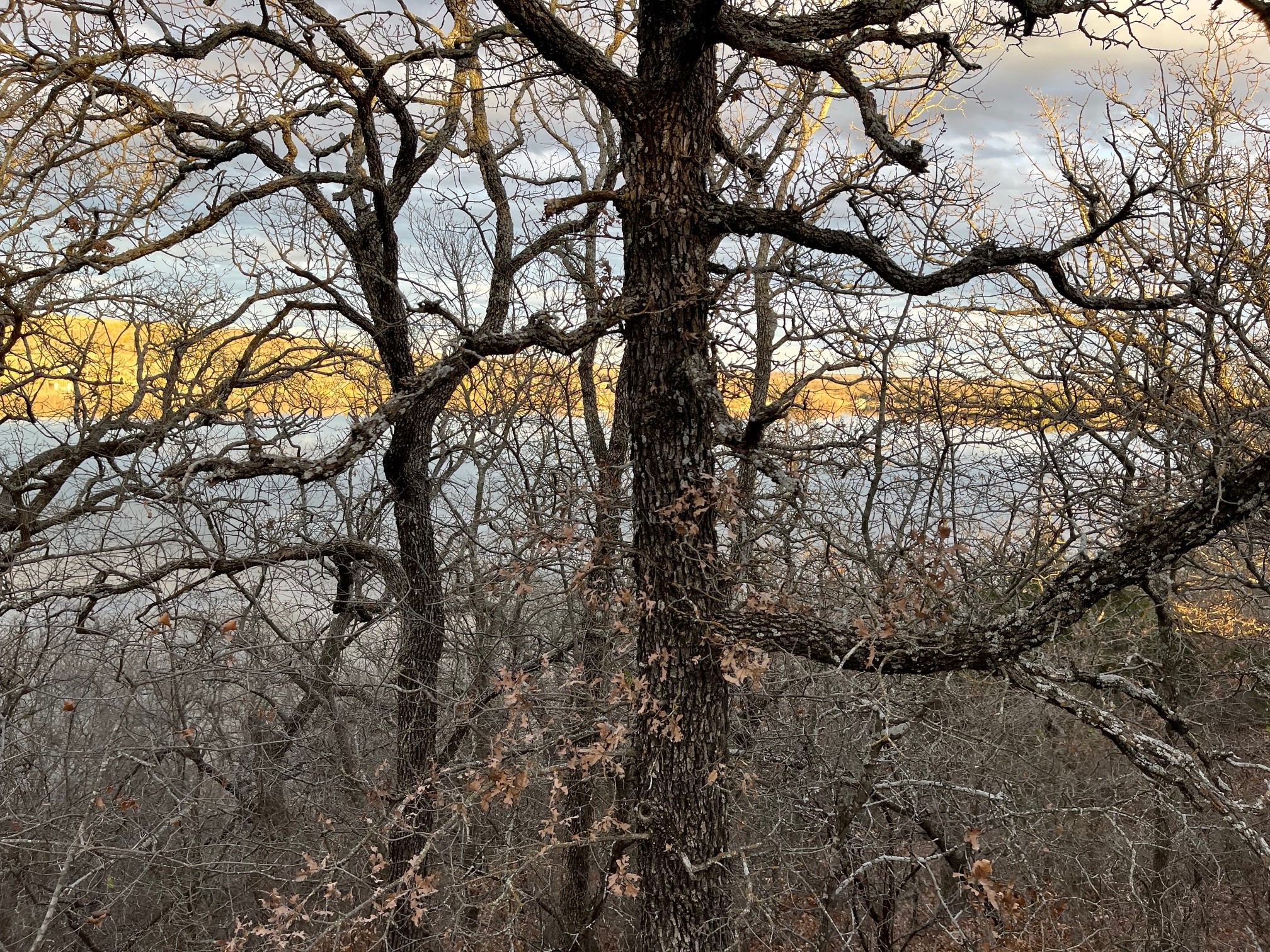 0 Scenic Hill Drive Bowie TX 76230