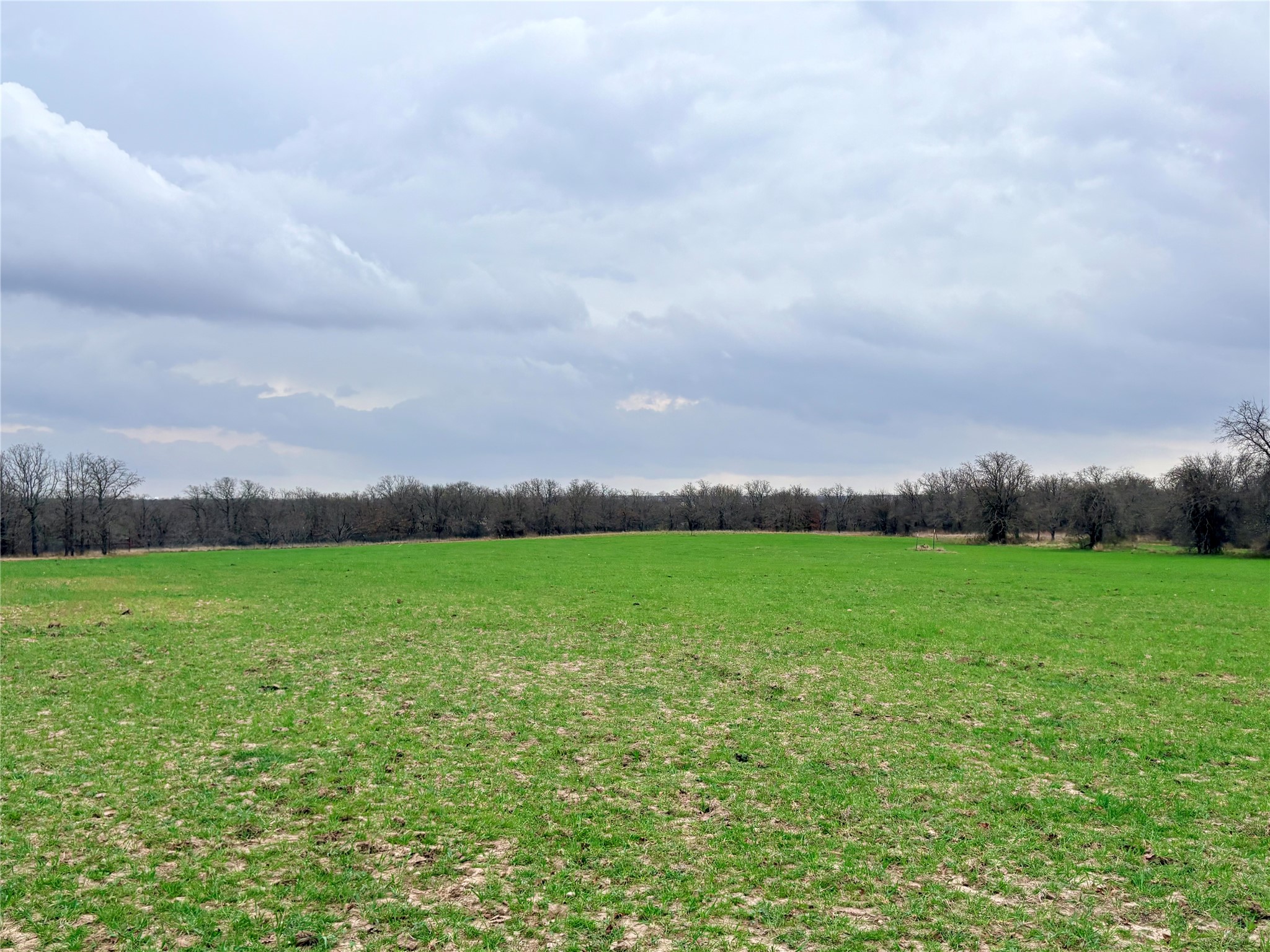 3187 Elenburg Road Perrin TX 76486