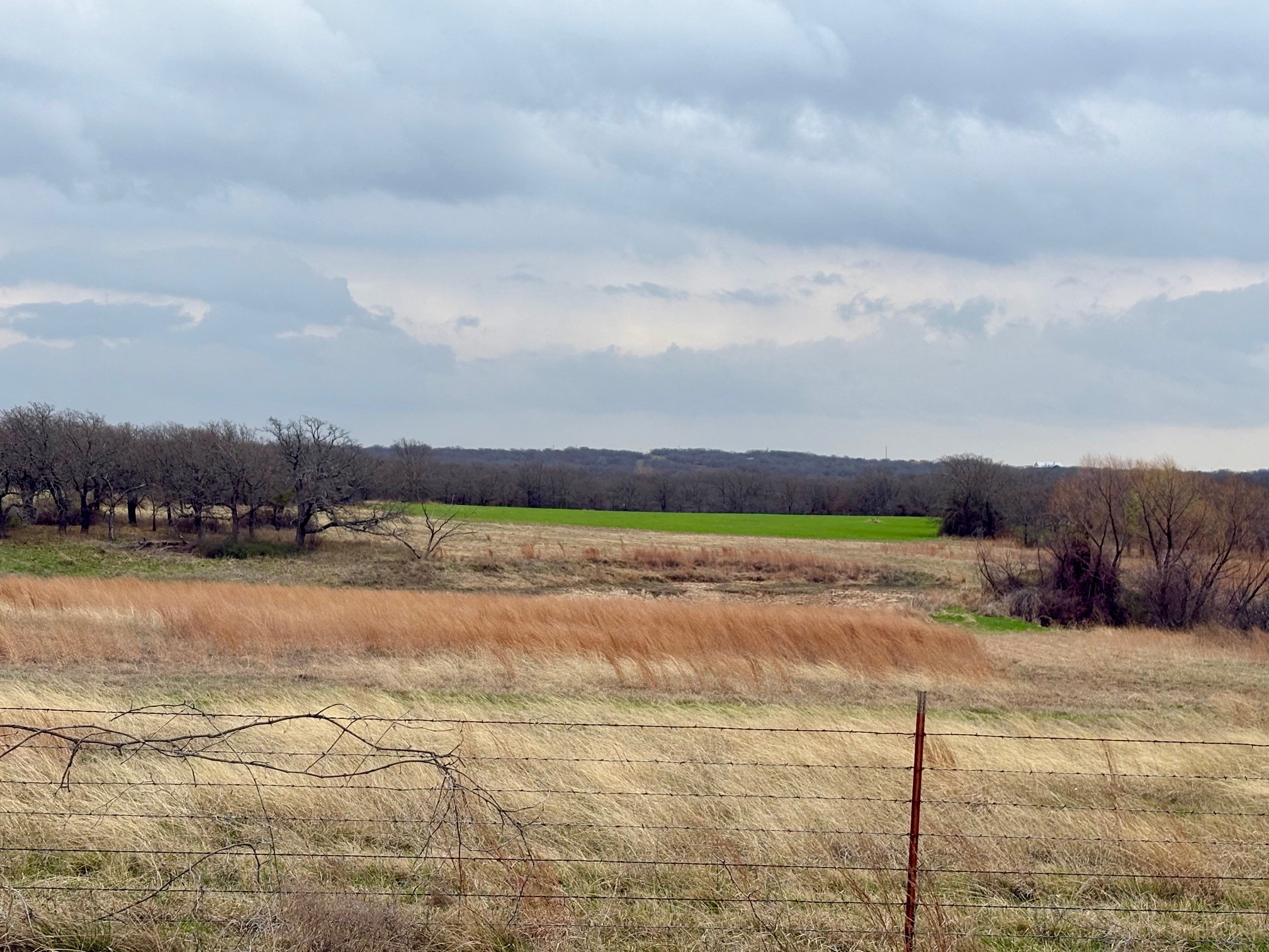 3187 Elenburg Road Perrin TX 76486