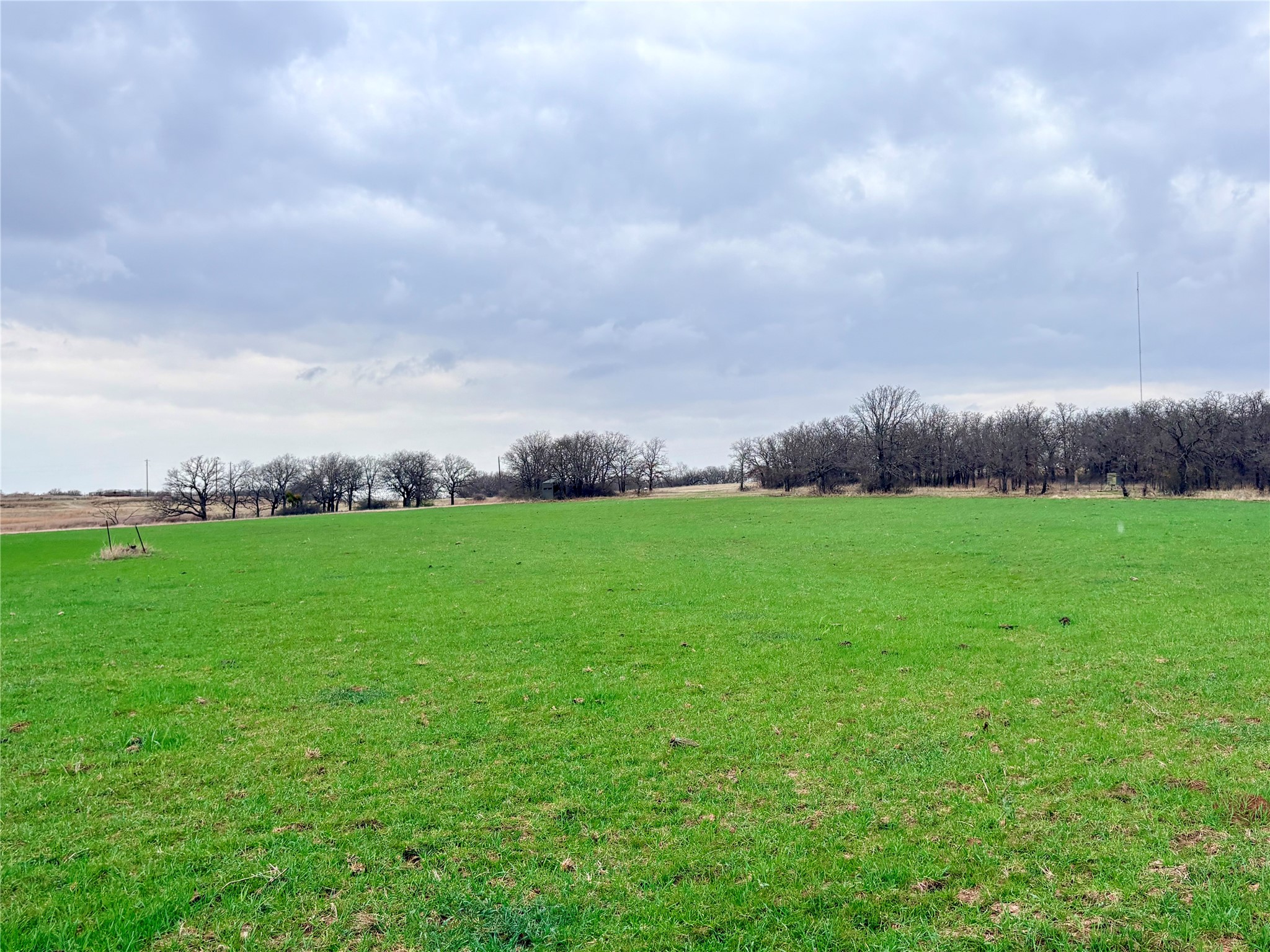 3187 Elenburg Road Perrin TX 76486