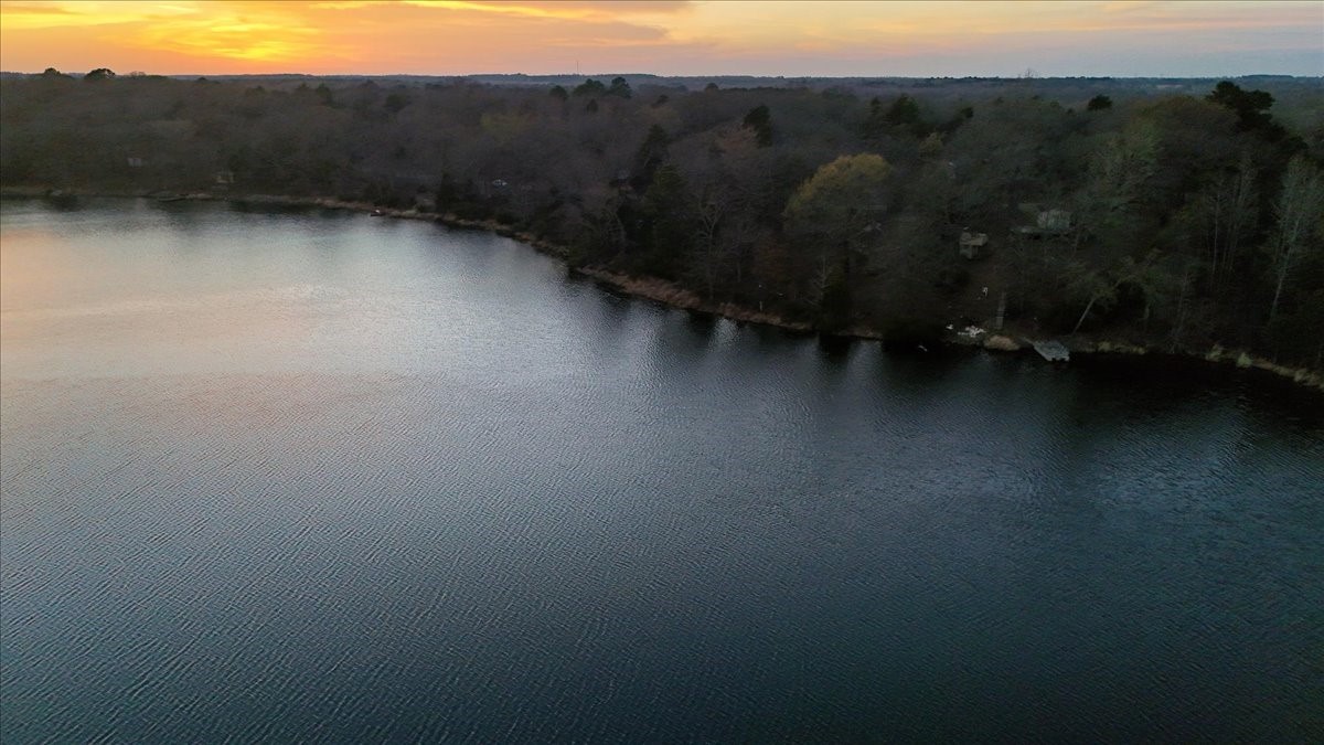 0000 Overview Drive Mineola TX 75773