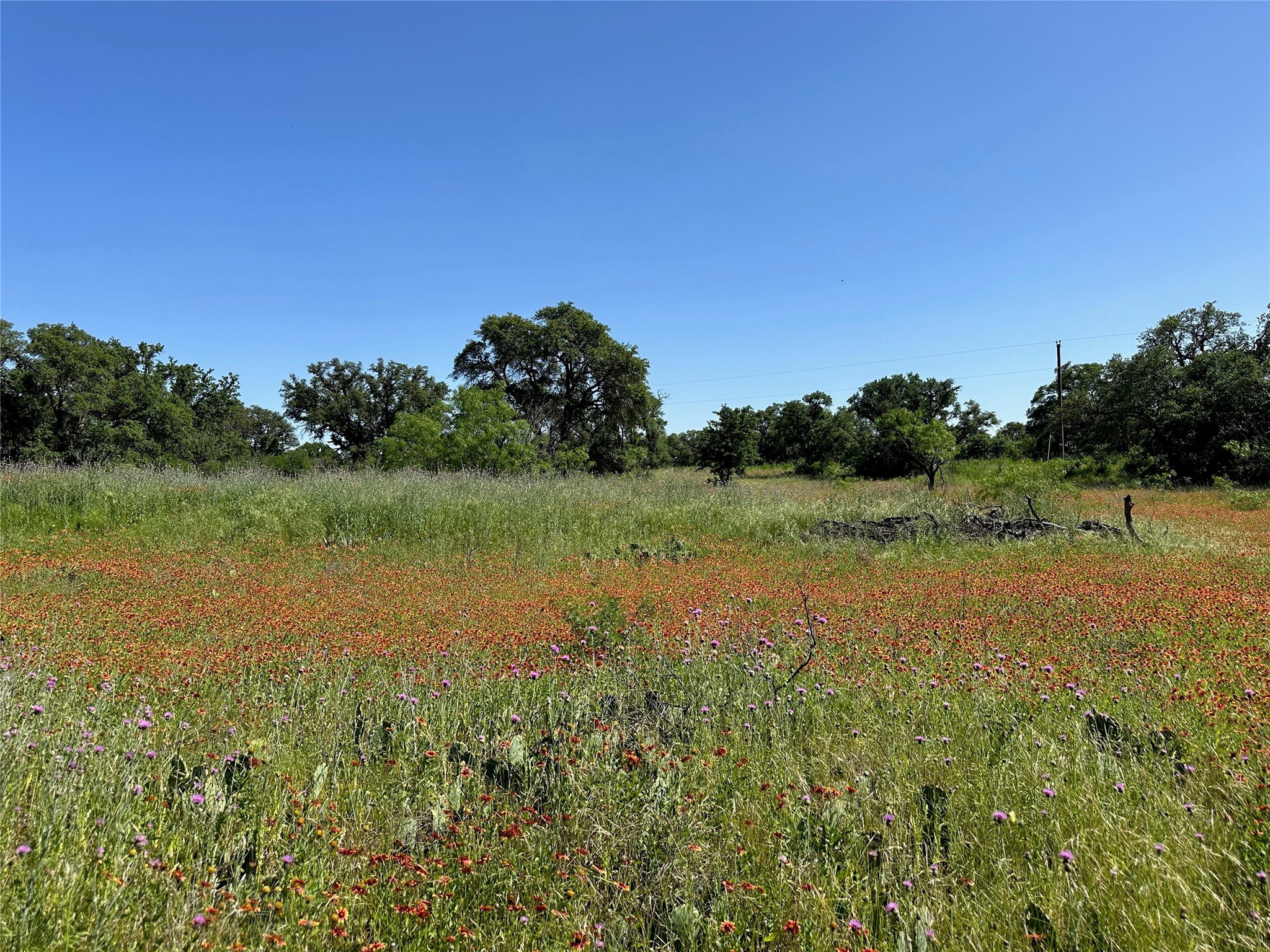 1079 Lake Breeze Drive Brownwood TX 76801
