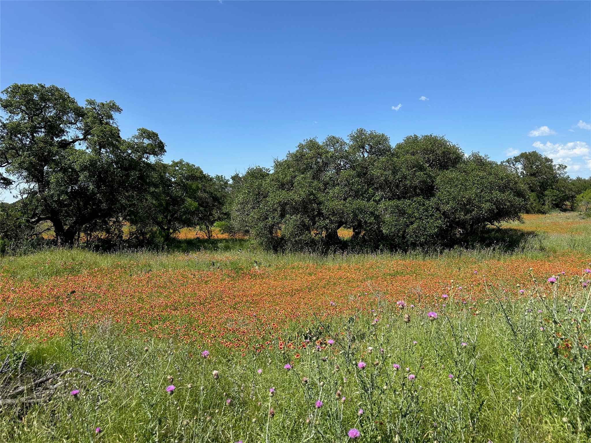 1079 Lake Breeze Drive Brownwood TX 76801