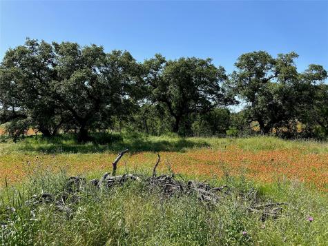 1079 Lake Breeze Drive Brownwood TX 76801