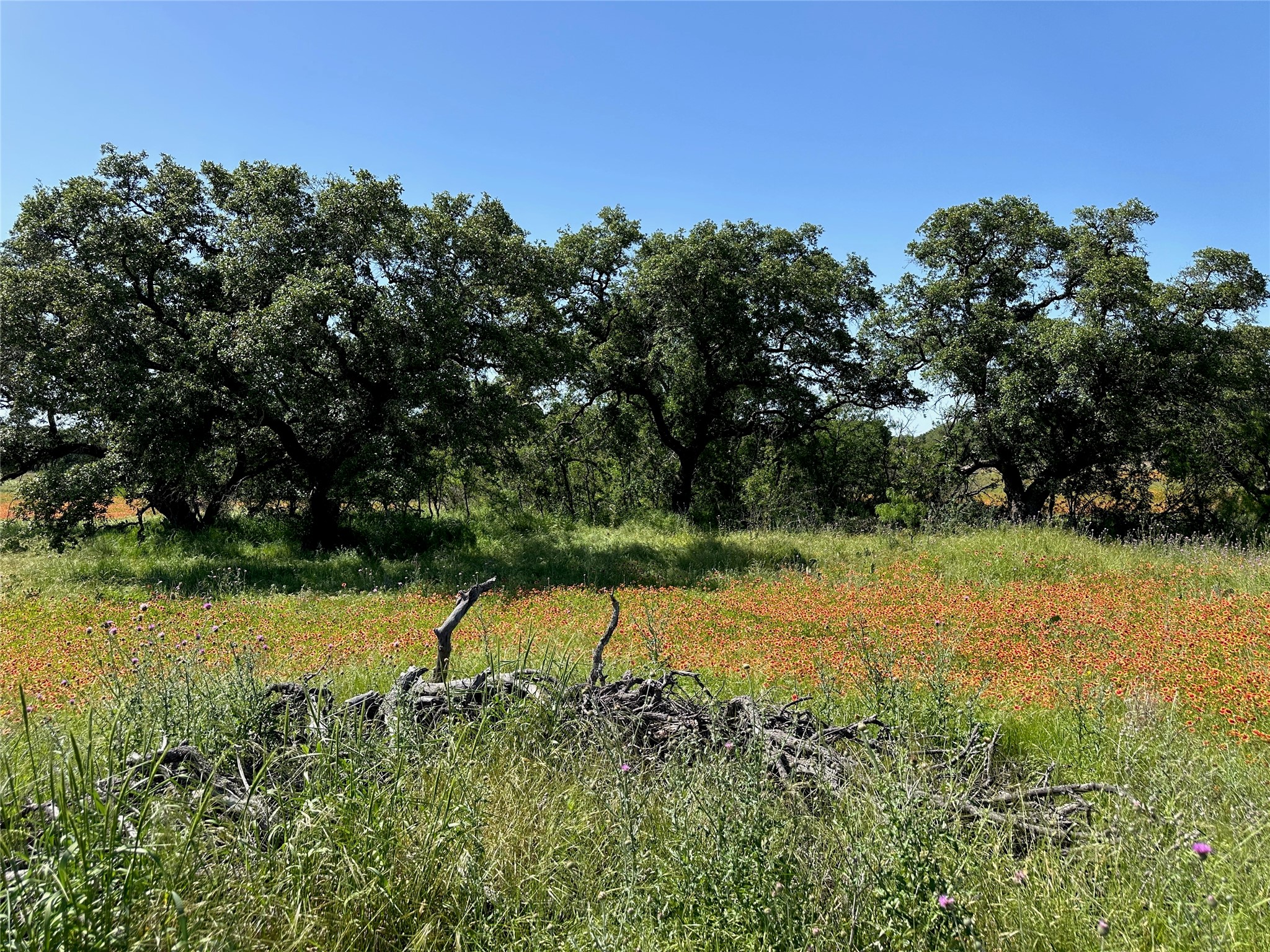 1079 Lake Breeze Drive Brownwood TX 76801