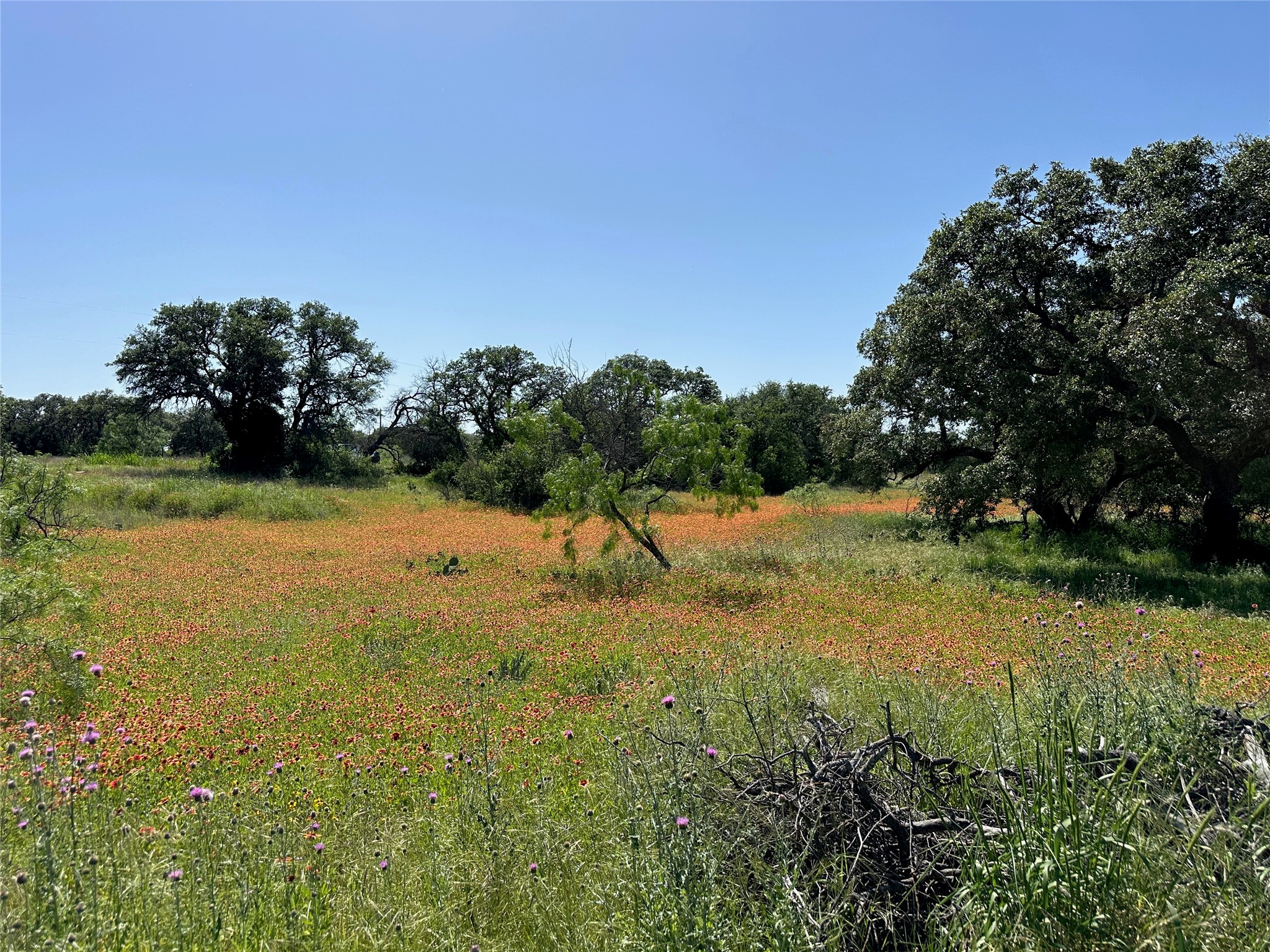 1079 Lake Breeze Drive Brownwood TX 76801