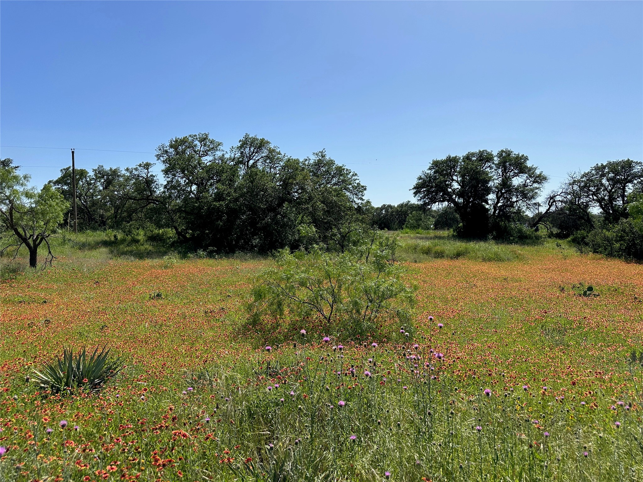 1079 Lake Breeze Drive Brownwood TX 76801