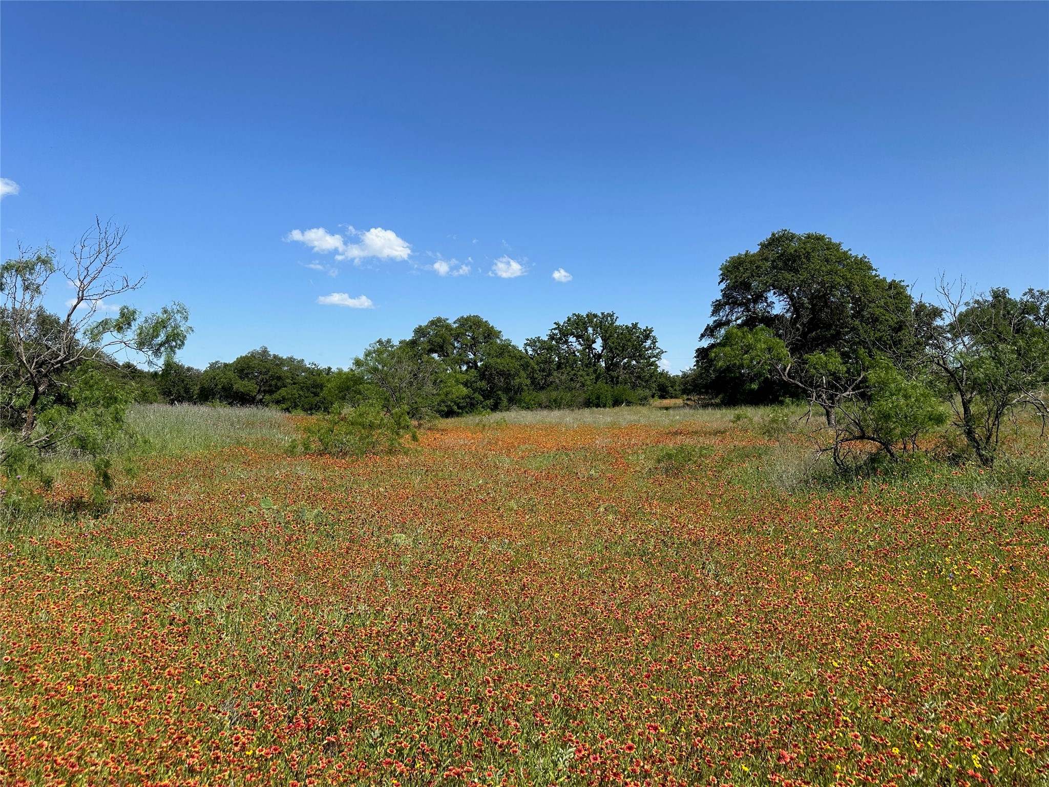 1079 Lake Breeze Drive Brownwood TX 76801
