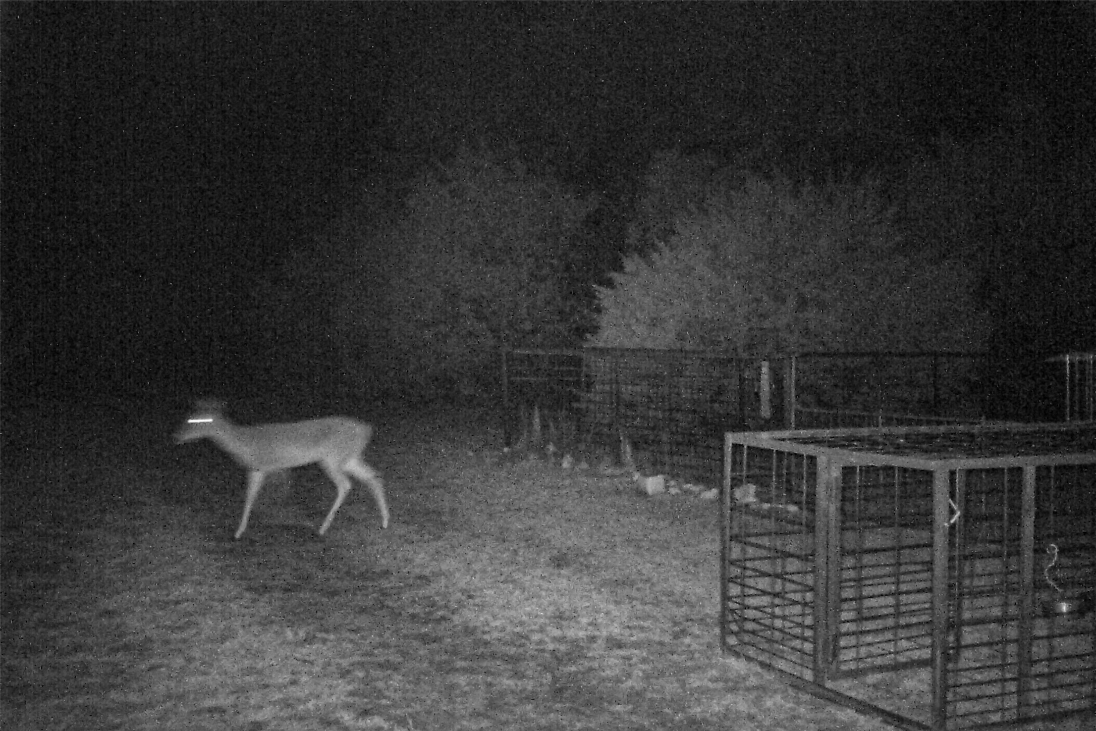 Tbd Straws Mill Road Gatesville TX 76528