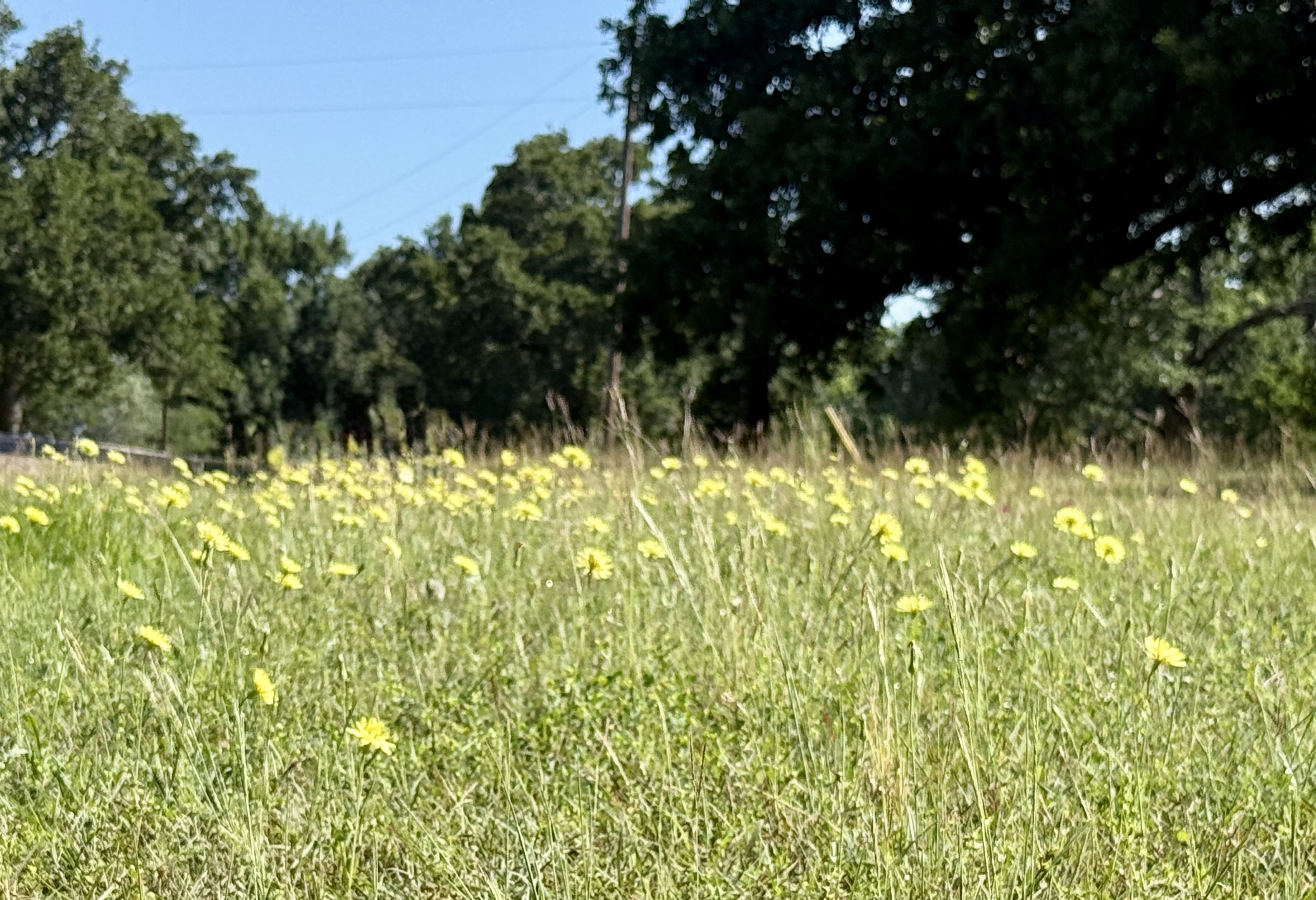 Lot 1 SE County Road 3186 Corsicana TX 75109