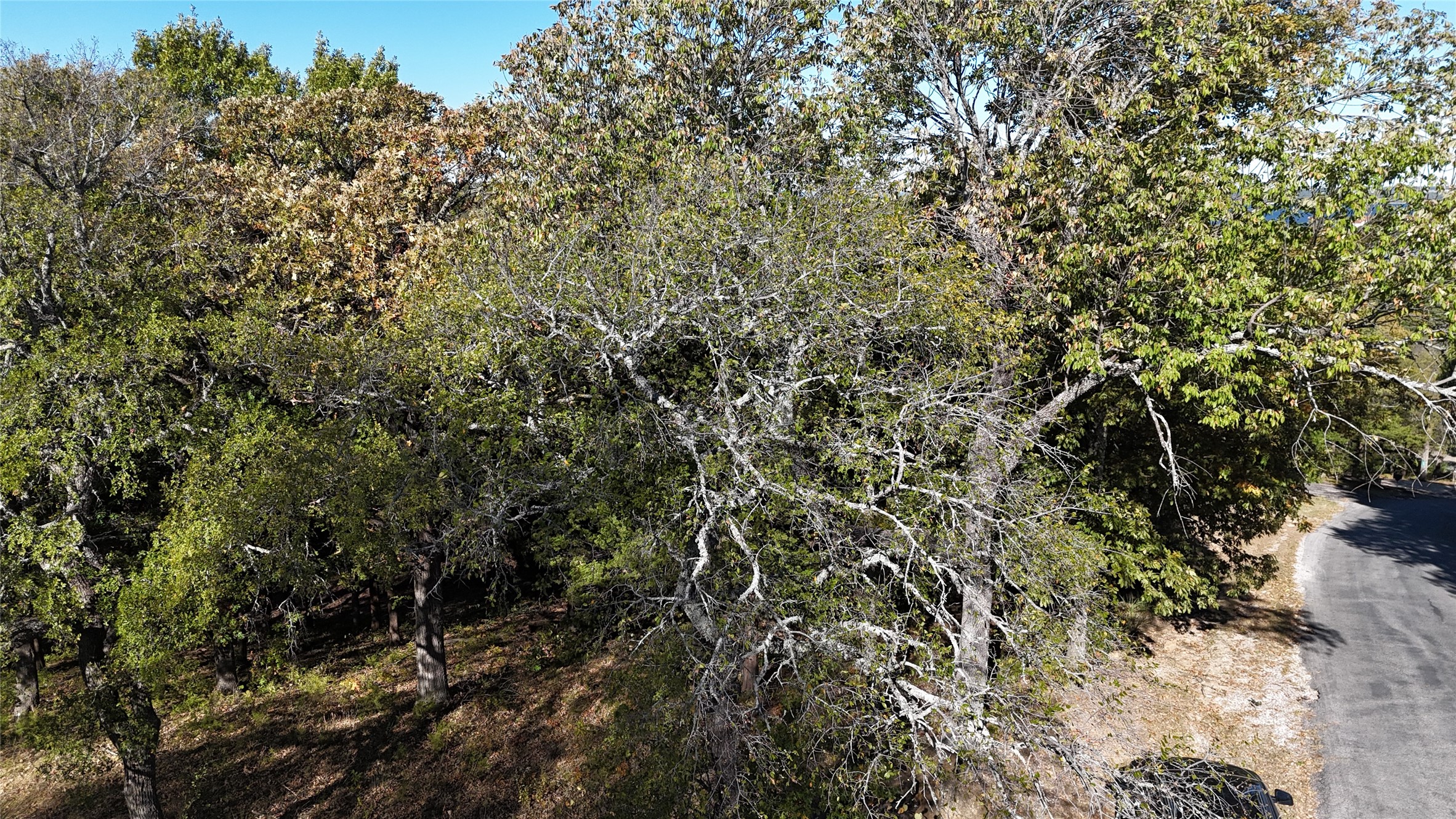 Tbd 881-3 Tanglewood Trail Pottsboro TX 75076