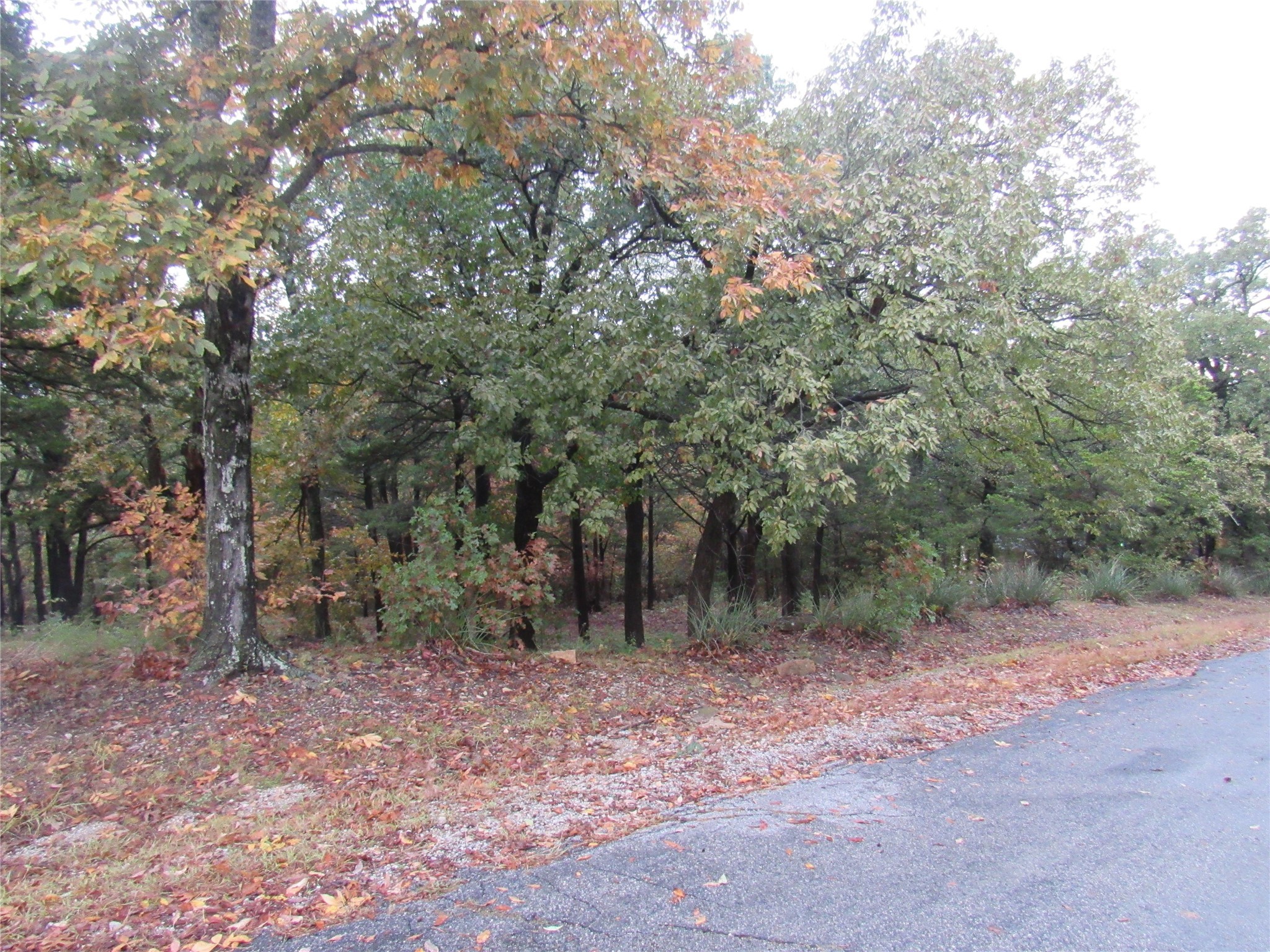 Tbd 881-3 Tanglewood Trail Pottsboro TX 75076