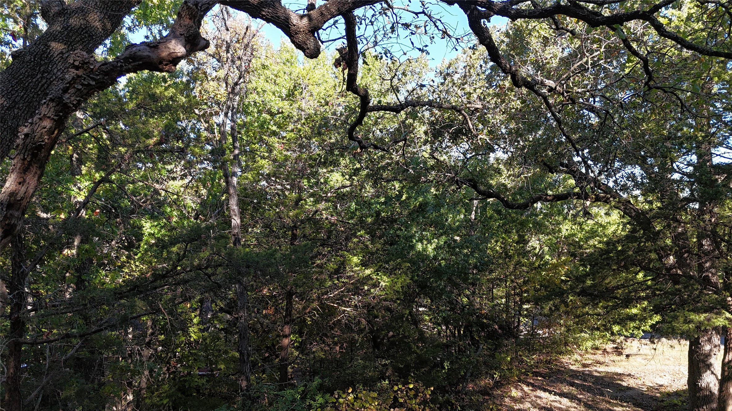 Tbd 881-3 Tanglewood Trail Pottsboro TX 75076