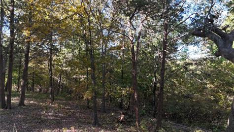 Tbd 881-3 Tanglewood Trail Pottsboro TX 75076