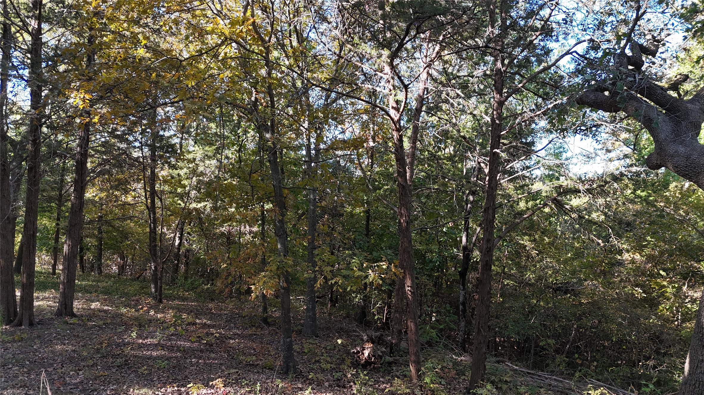 Tbd 881-3 Tanglewood Trail Pottsboro TX 75076