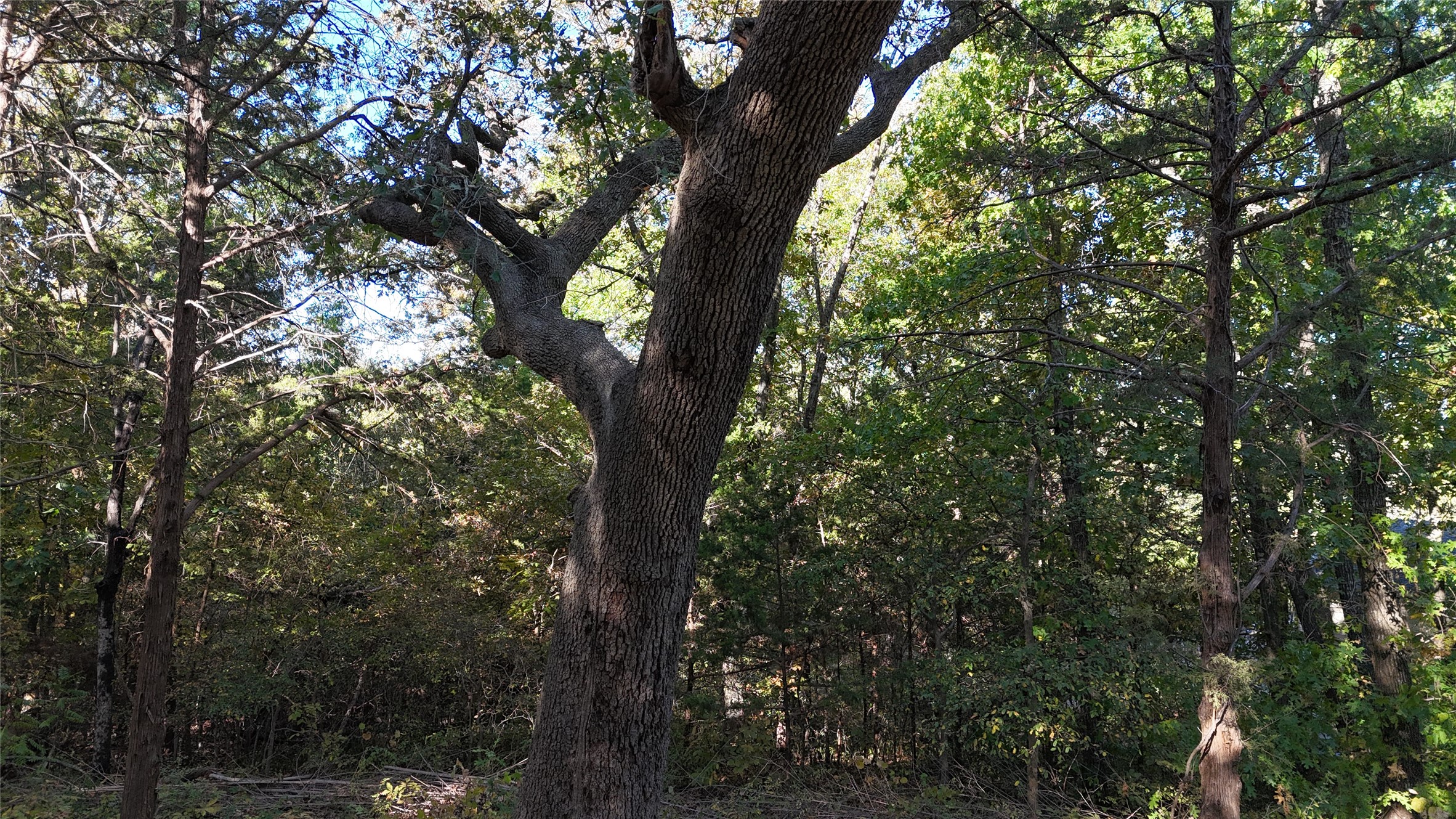 Tbd 881-3 Tanglewood Trail Pottsboro TX 75076
