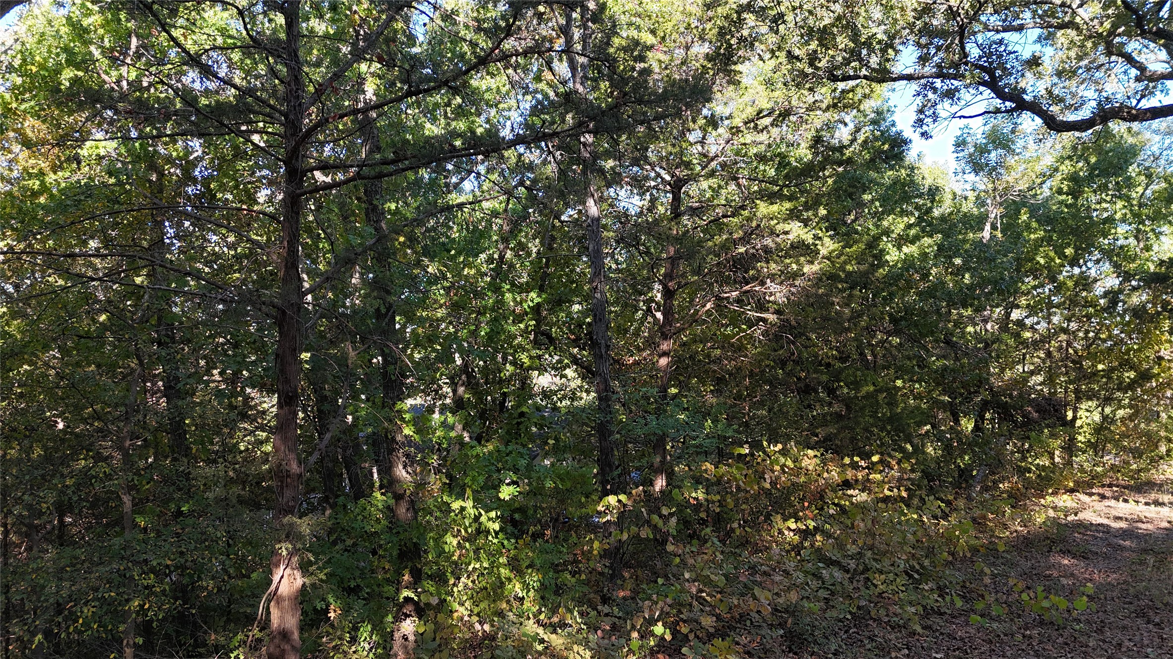 Tbd 881-3 Tanglewood Trail Pottsboro TX 75076