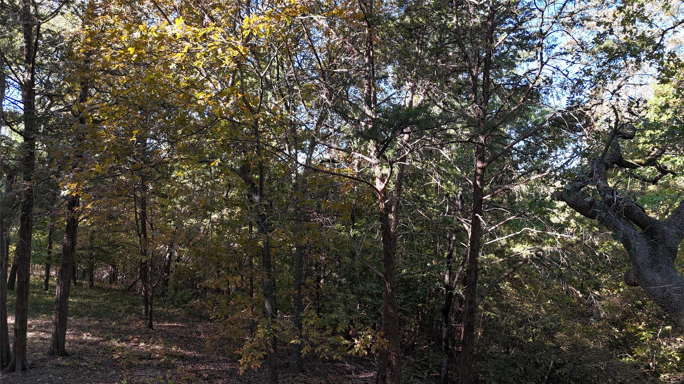 Tbd 881-3 Tanglewood Trail Pottsboro TX 75076