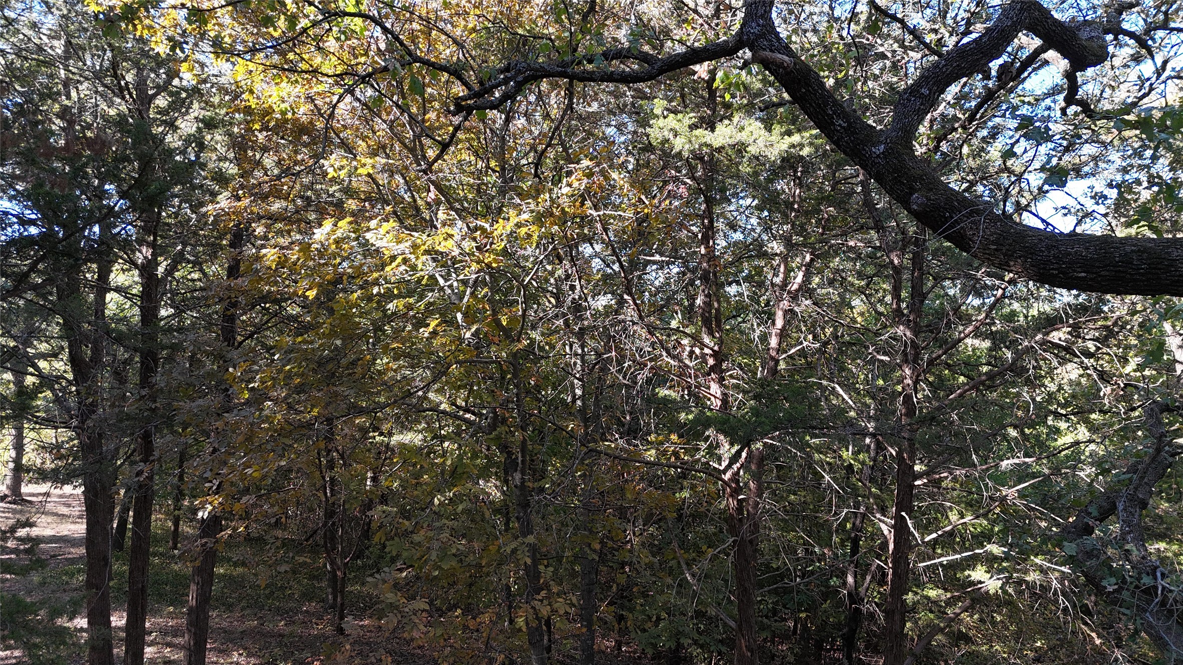 Tbd 881-3 Tanglewood Trail Pottsboro TX 75076