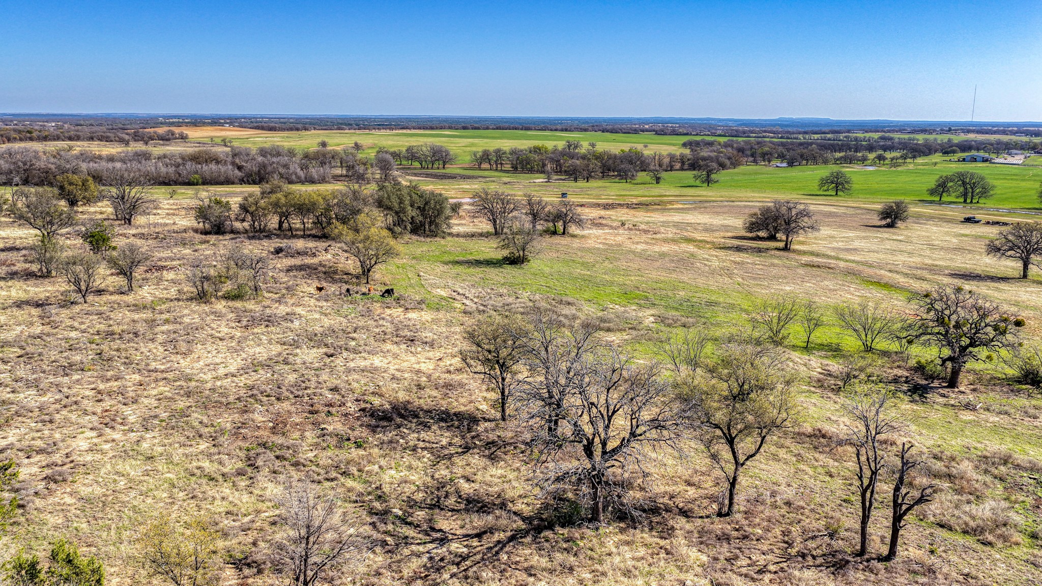 4305 County Road 179 Stephenville TX 76401