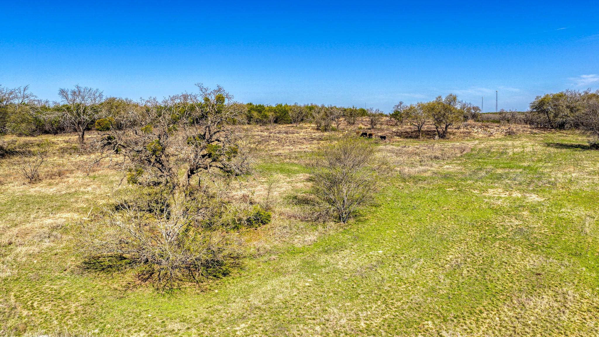 4305 County Road 179 Stephenville TX 76401