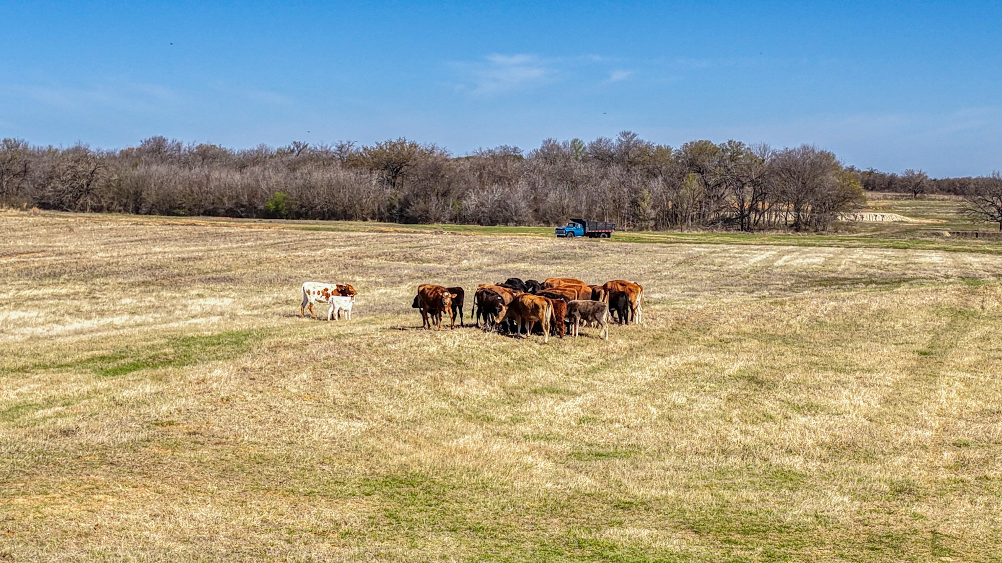 4305 County Road 179 Stephenville TX 76401