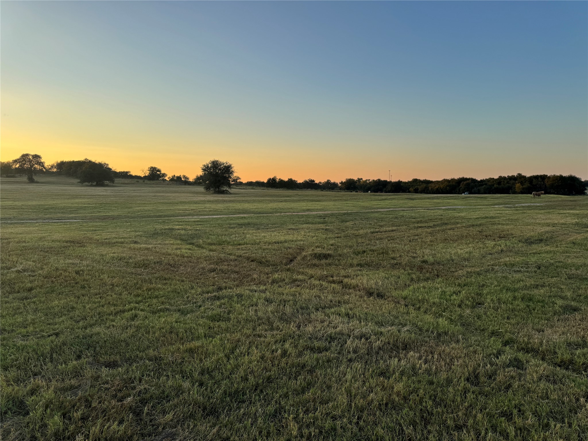 4305 County Road 179 Stephenville TX 76401