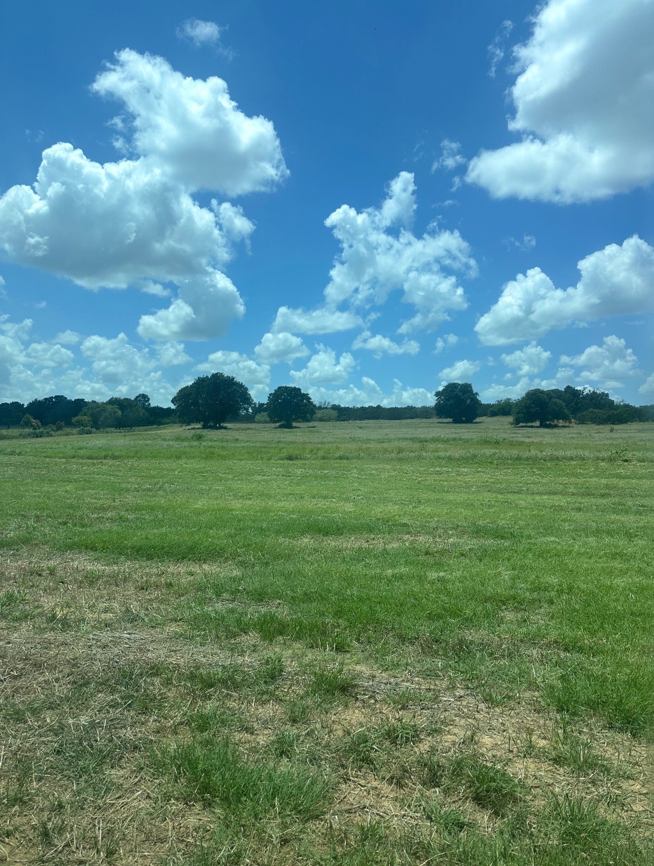 4305 County Road 179 Stephenville TX 76401