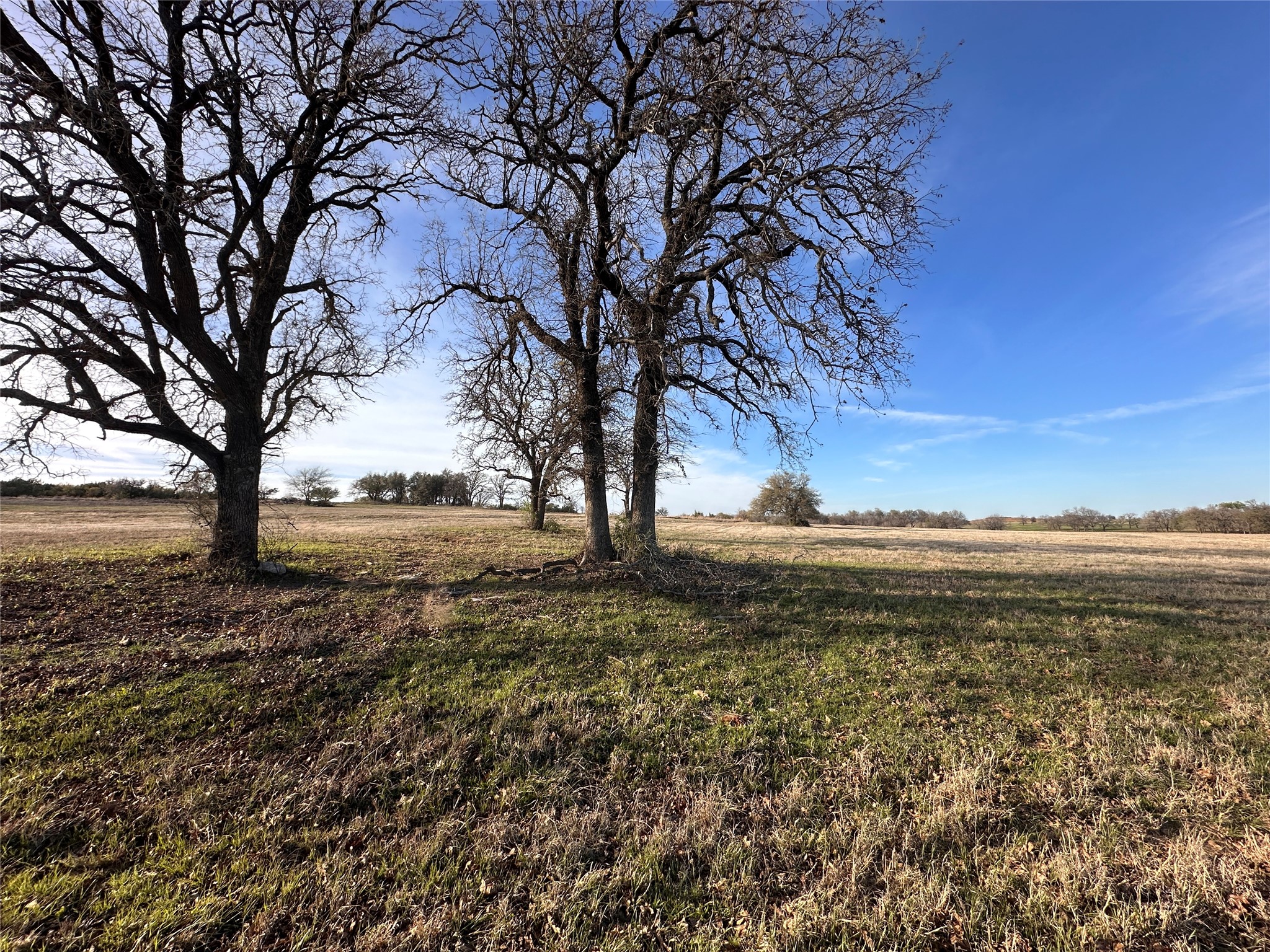4305 County Road 179 Stephenville TX 76401